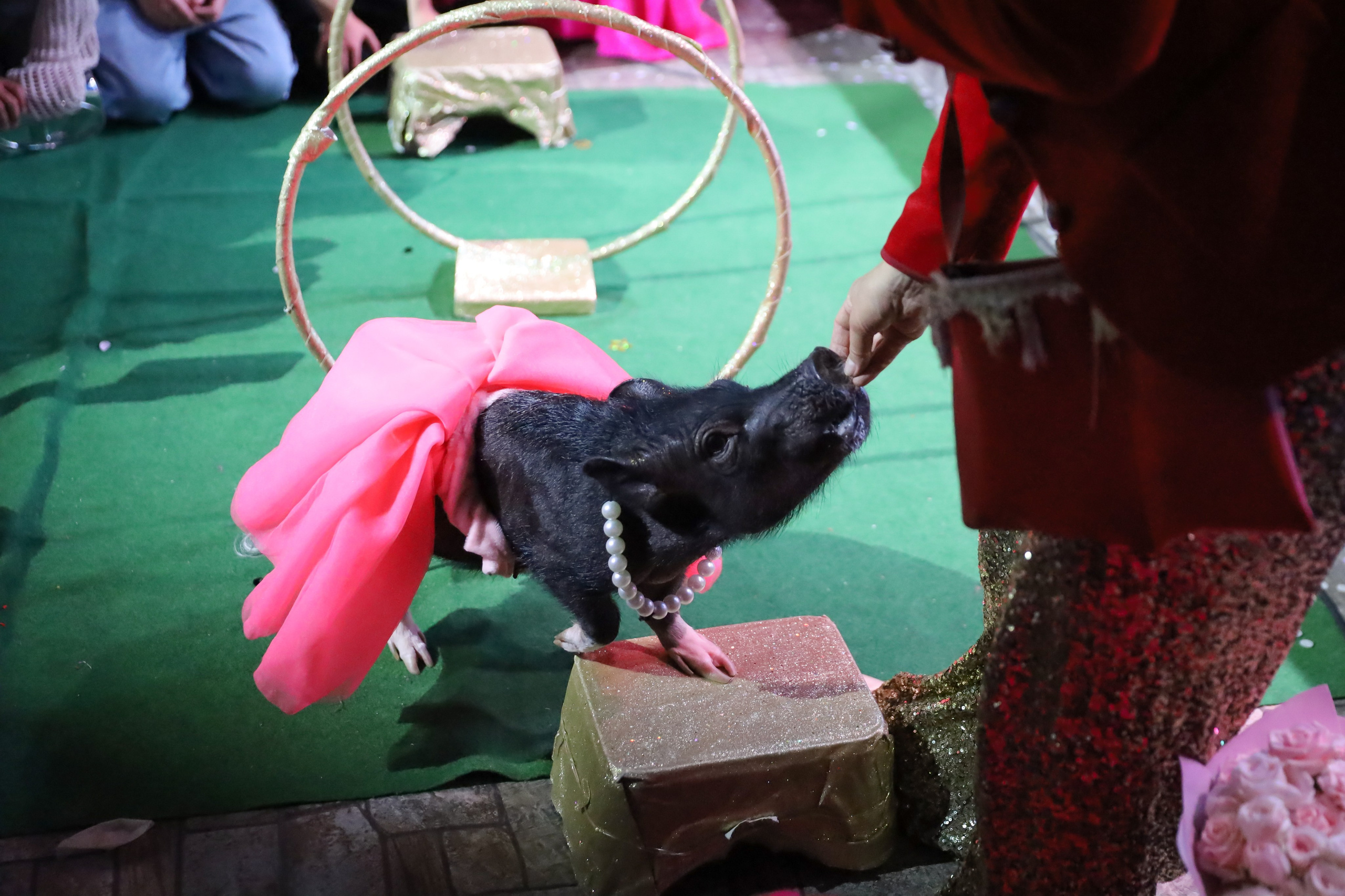 ДЕНЬ РОЖДЕНИЯ ЕВЫ В КРБ. Фотограф мероприятий Ирина Каширина