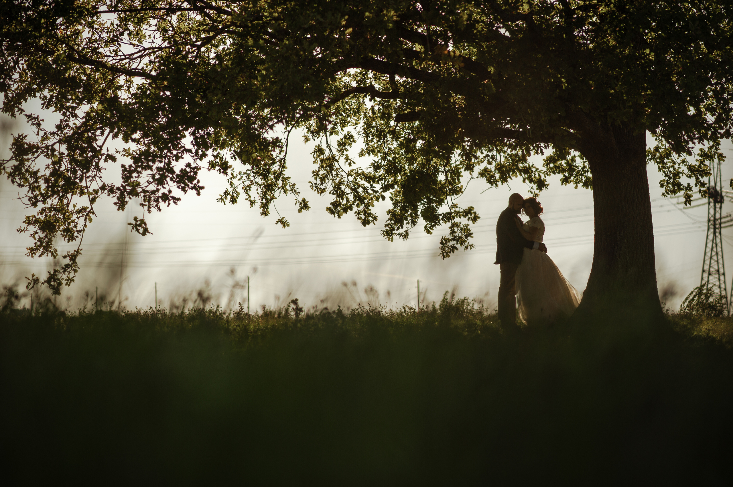 Свадебный и семейный фотограф в Сергиевом Посаде, Москве и Московской