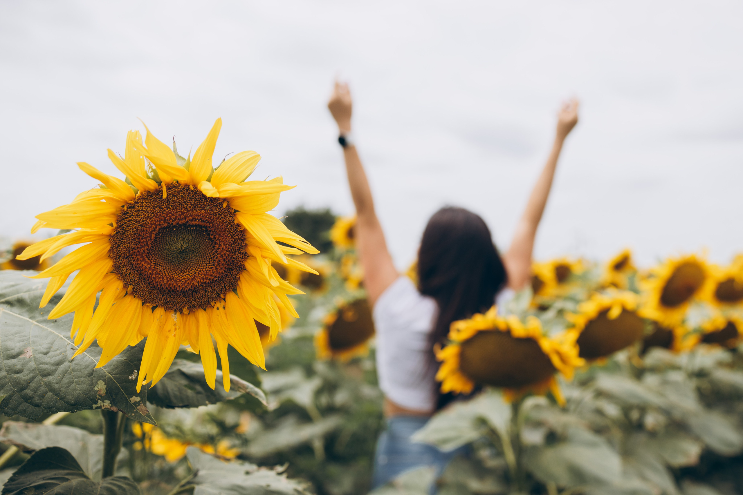 Лето. Профессиональный фотограф и видеооператор