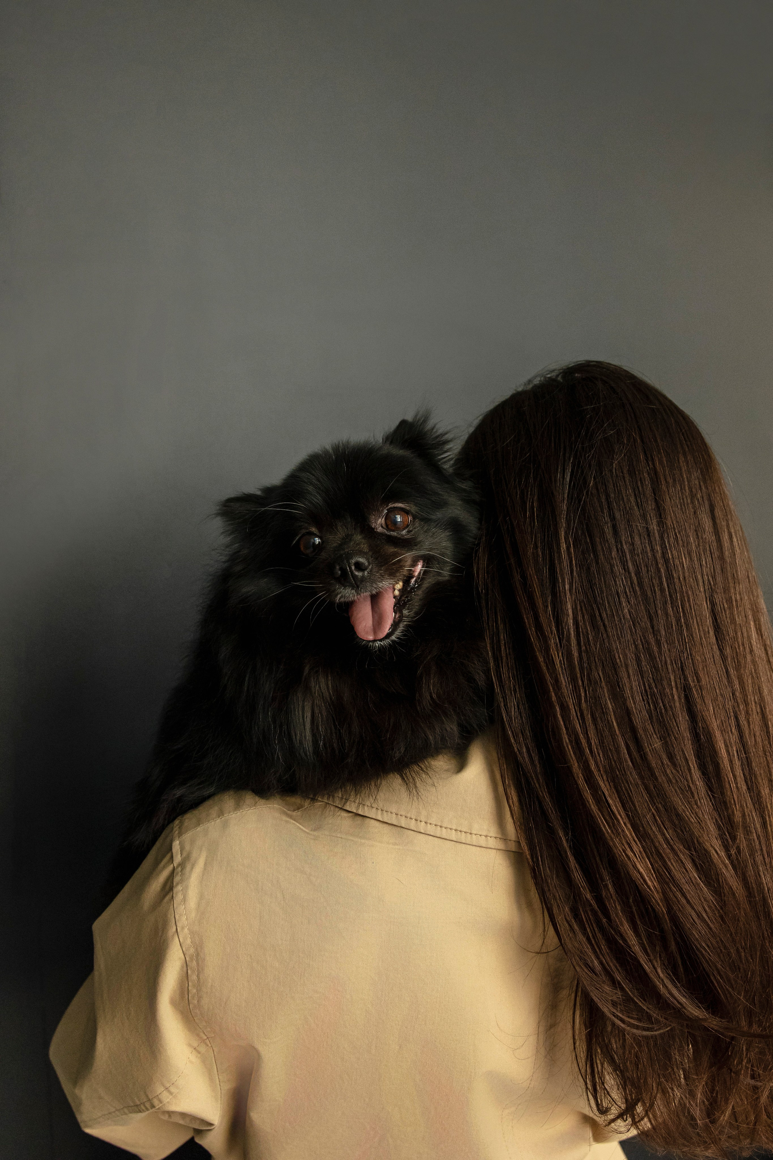 Съемка в студии с собакой. Анастасия Белаш