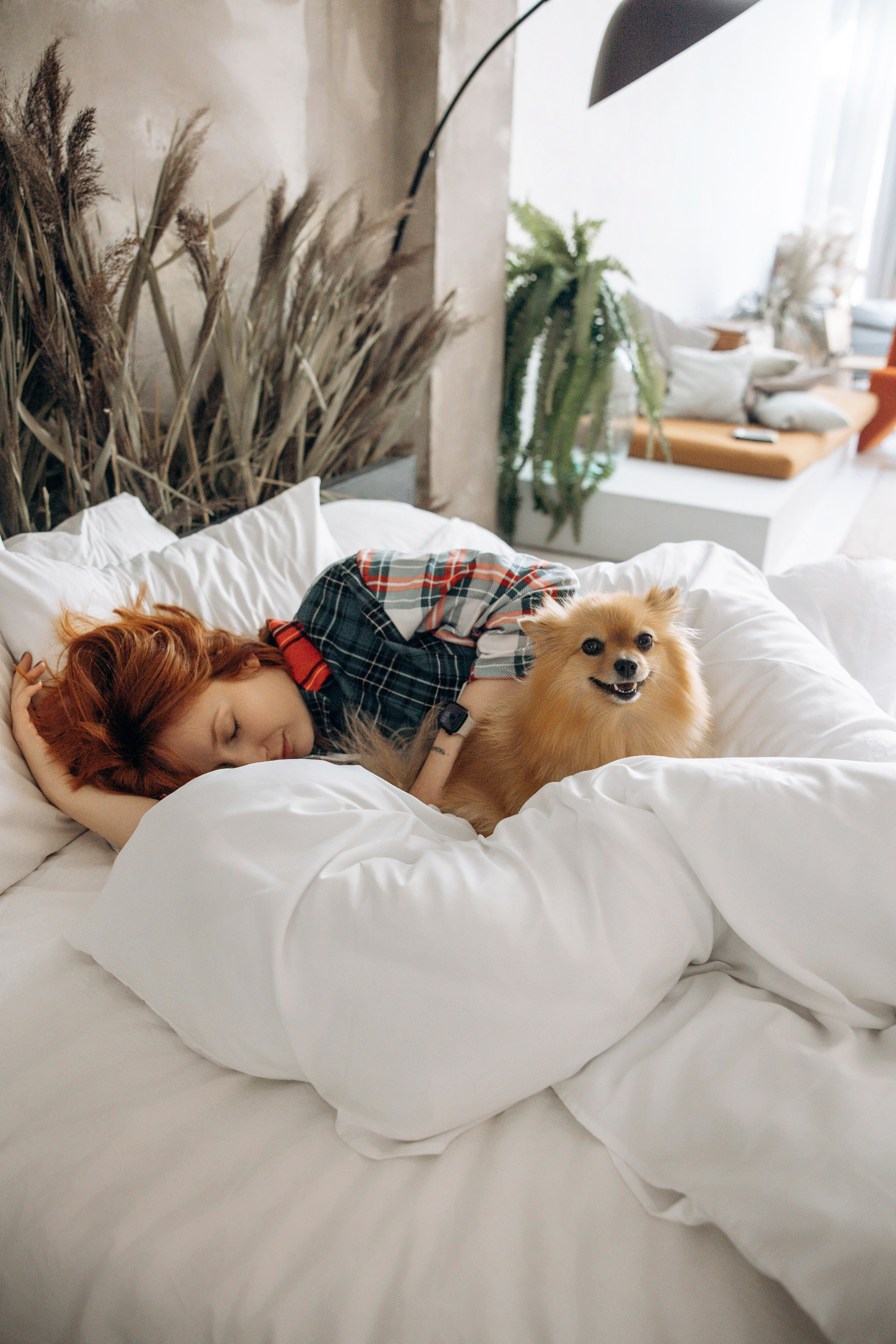 Съемка в студии с собакой. Анастасия Белаш