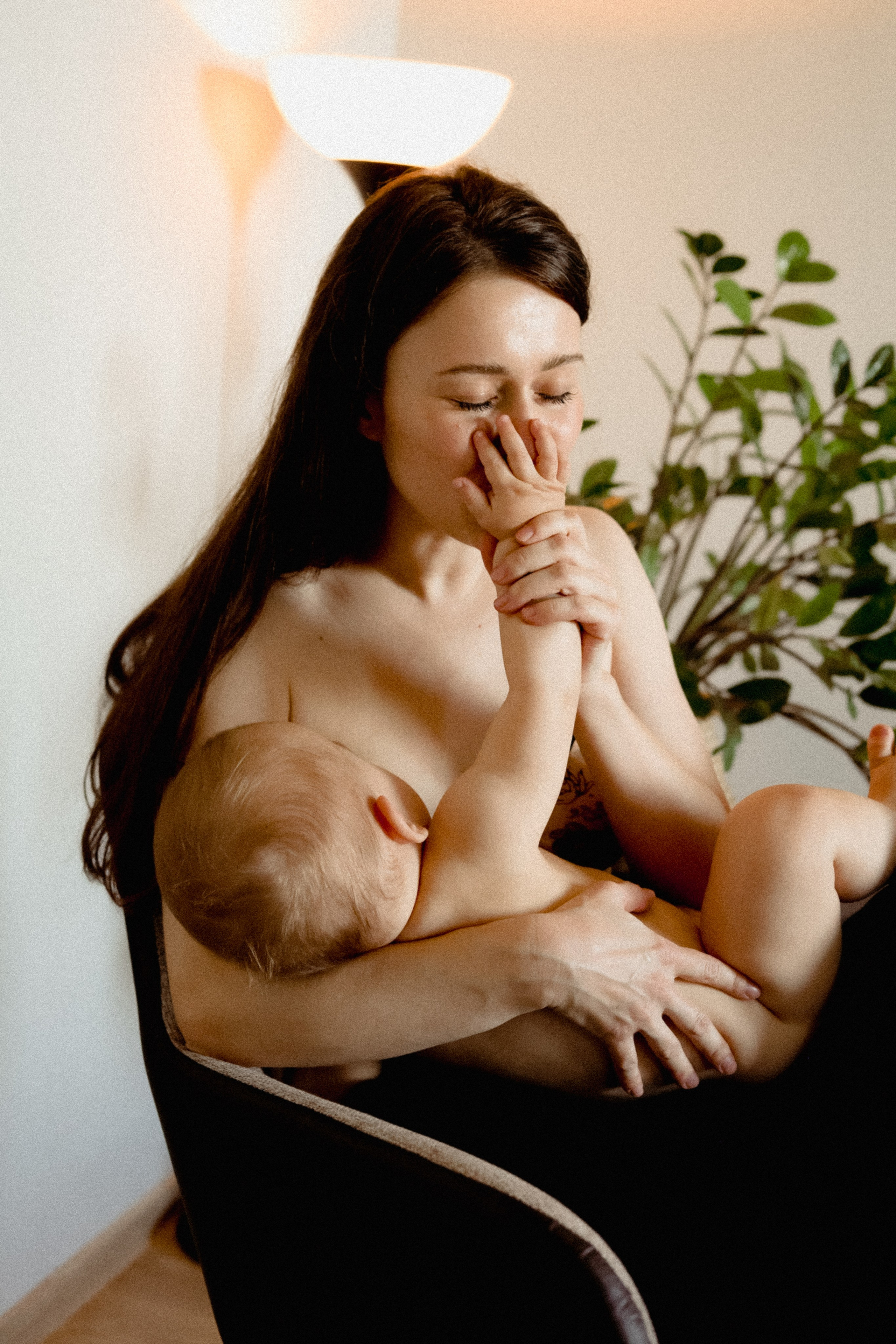 Домашняя история. Meryfotoidea