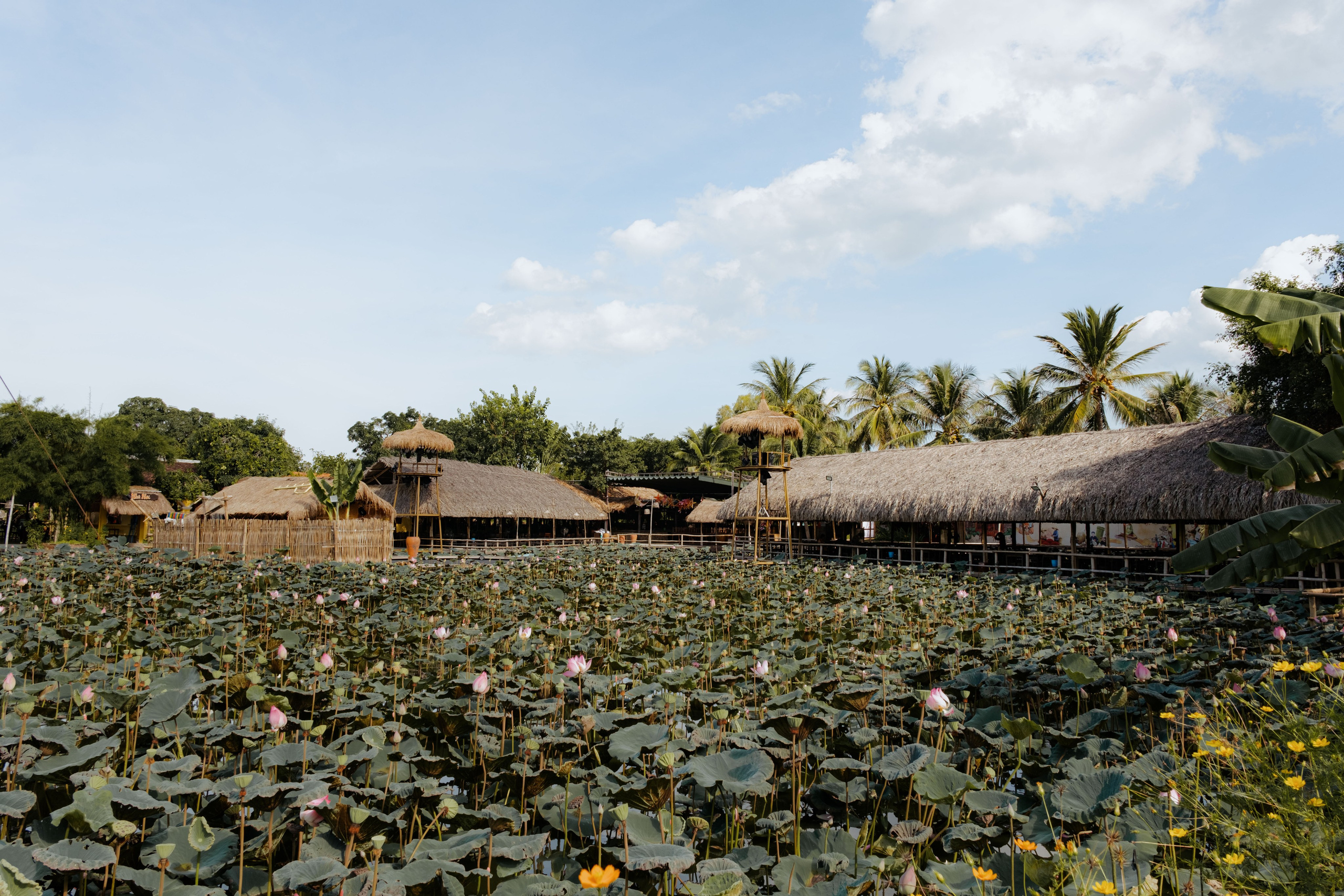 Локация "Озеро Лотосов". Портретный фотограф Нячанг | Юлия Мешанина