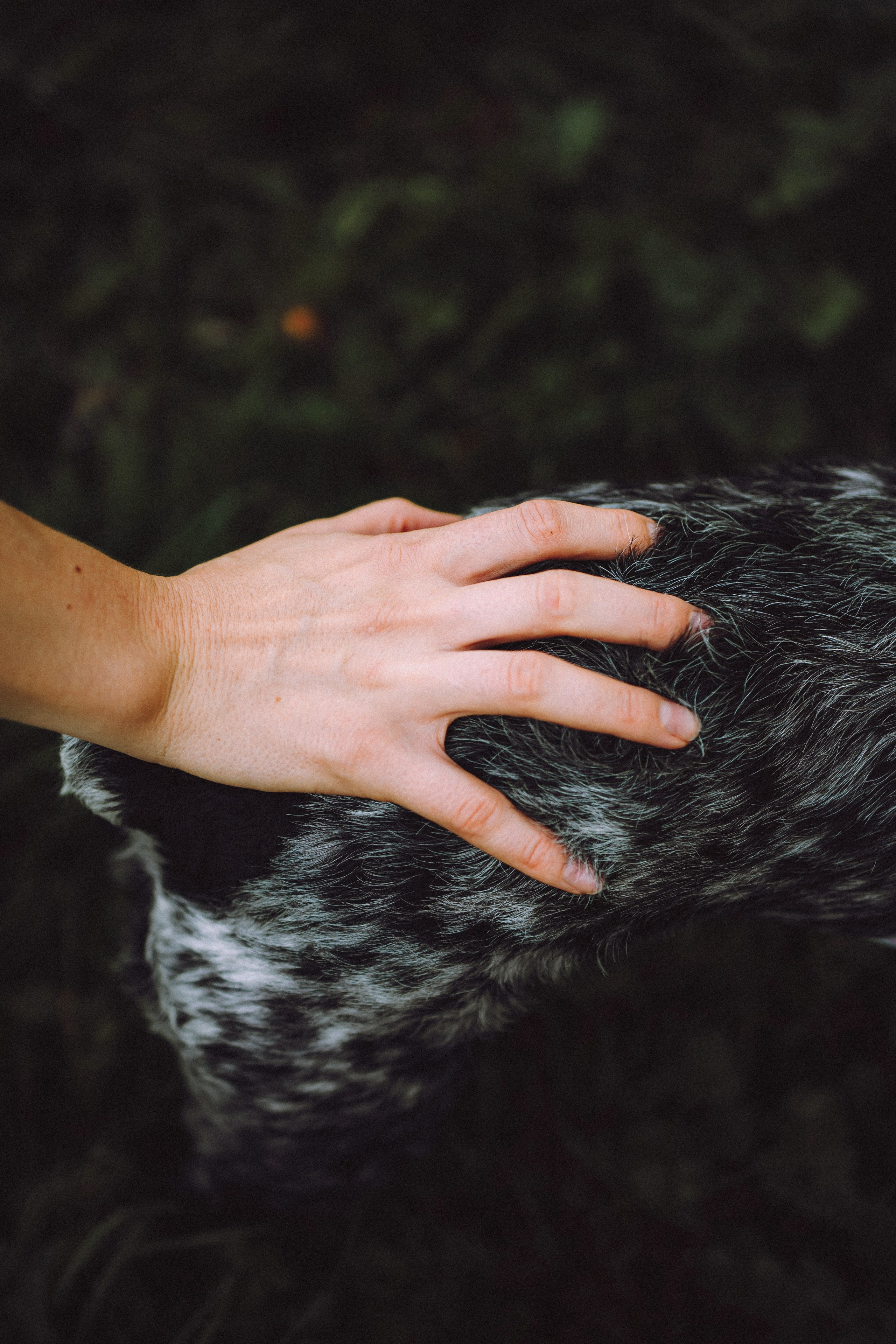 Маша и Ларри