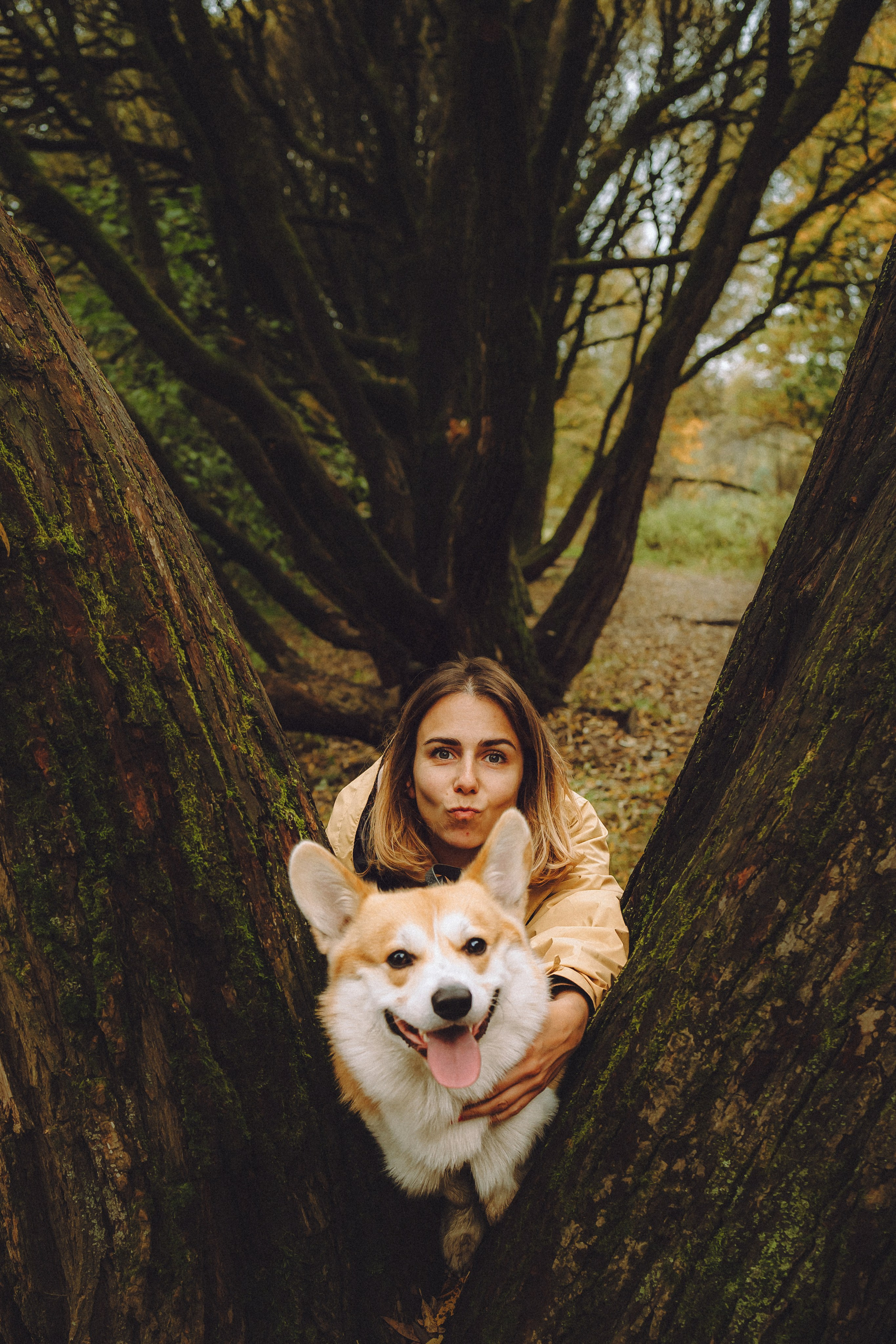 Вирджик и его семья