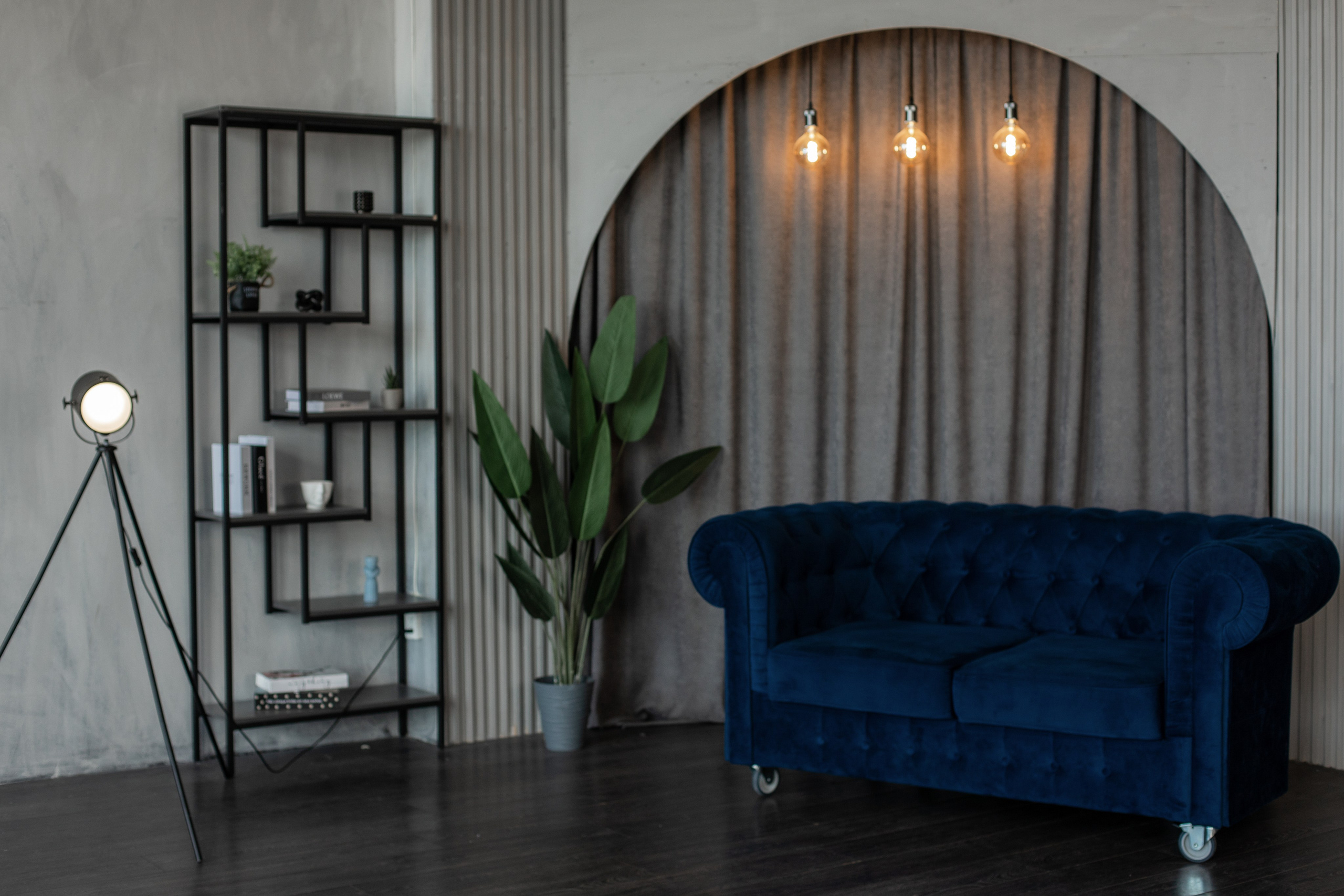 Честер (студия Зеркало). Фотограф г. Хабаровск. Семейные и индивидуальные съёмки