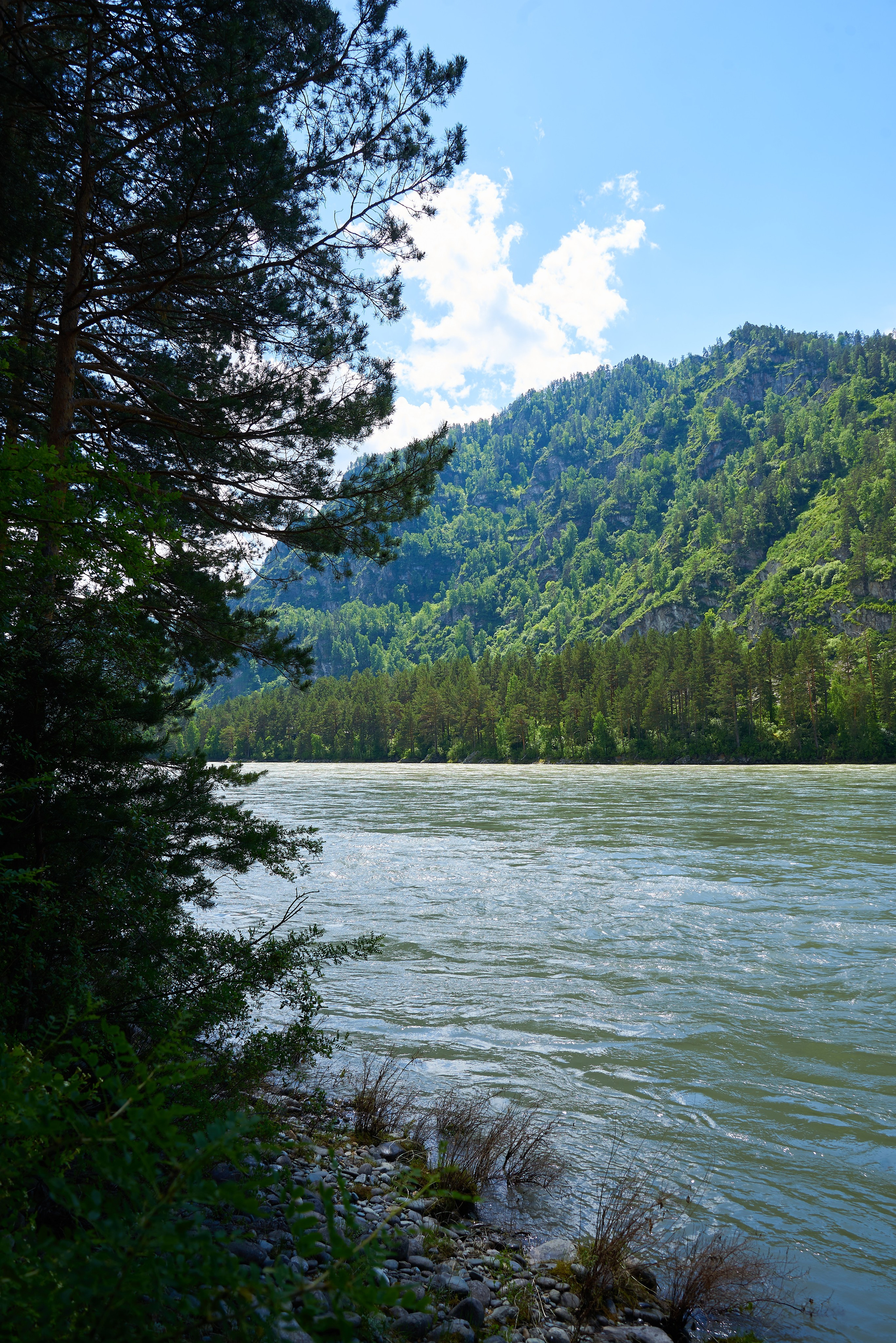 База отдыха «Лунный свет» Узнезя. Семейный фотограф в Барнауле, Горный Алтай, Заринск, Алейск