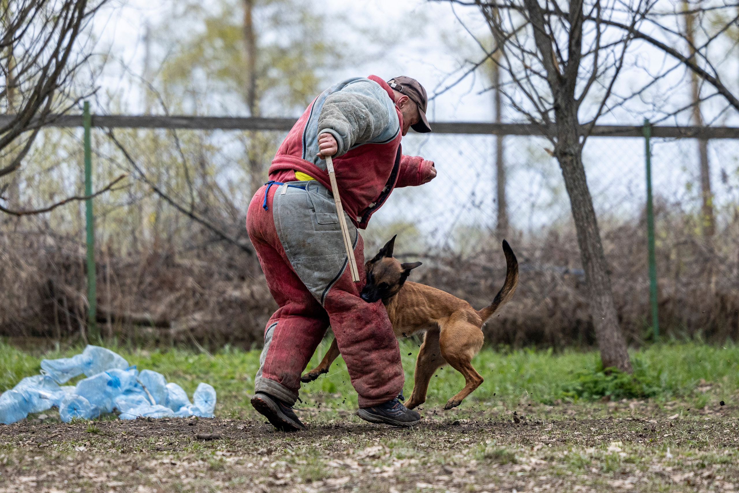 Квалификационные состязания по мондьорингу г. Вологда 11.05.24. Фотограф-анималист Анна Маринич
