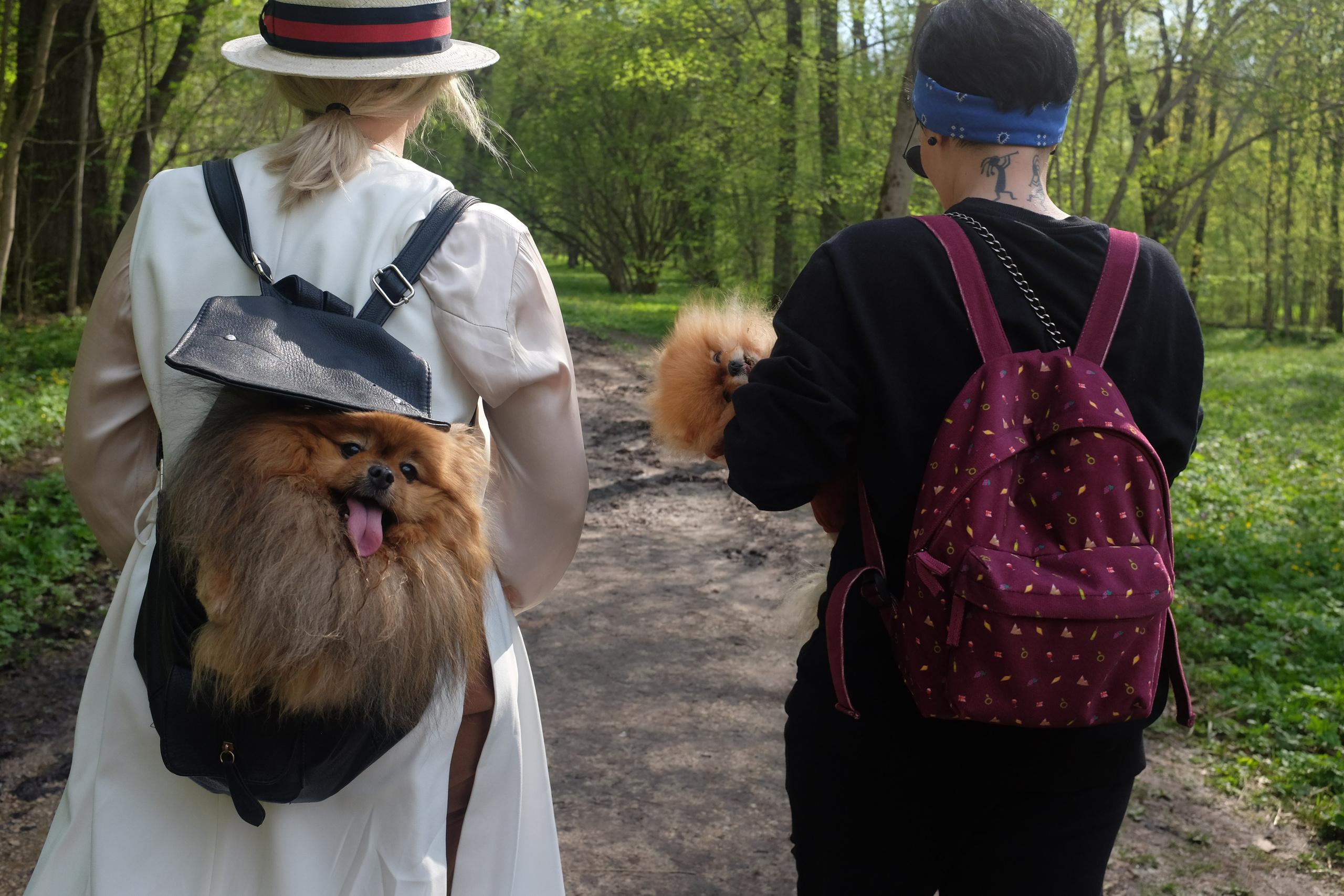 Одиночные фотографии. Алёна Кочеткова | фотограф и преподаватель фотографии