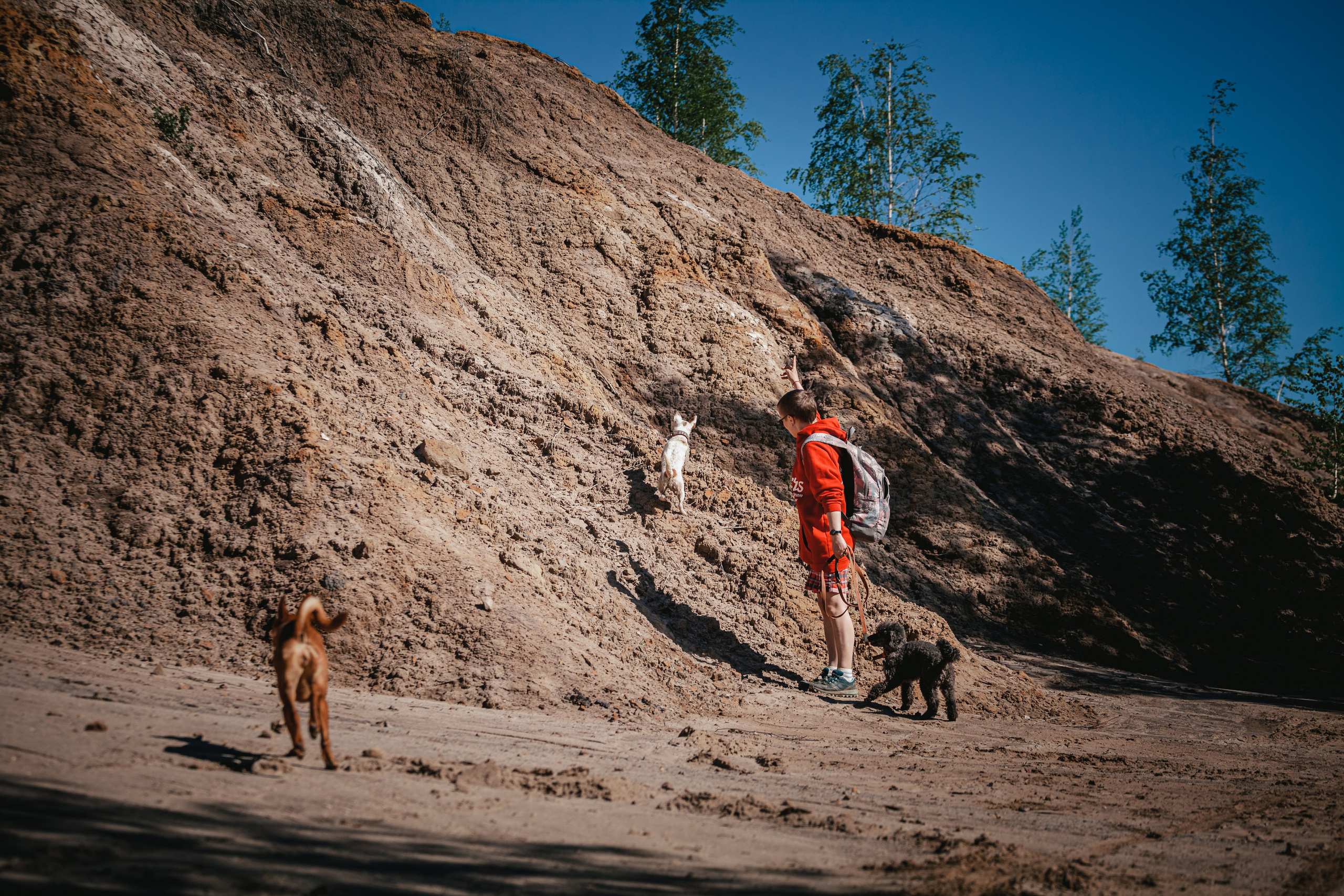 Кондуки. Фотограф-анималист Татьяна Степанова