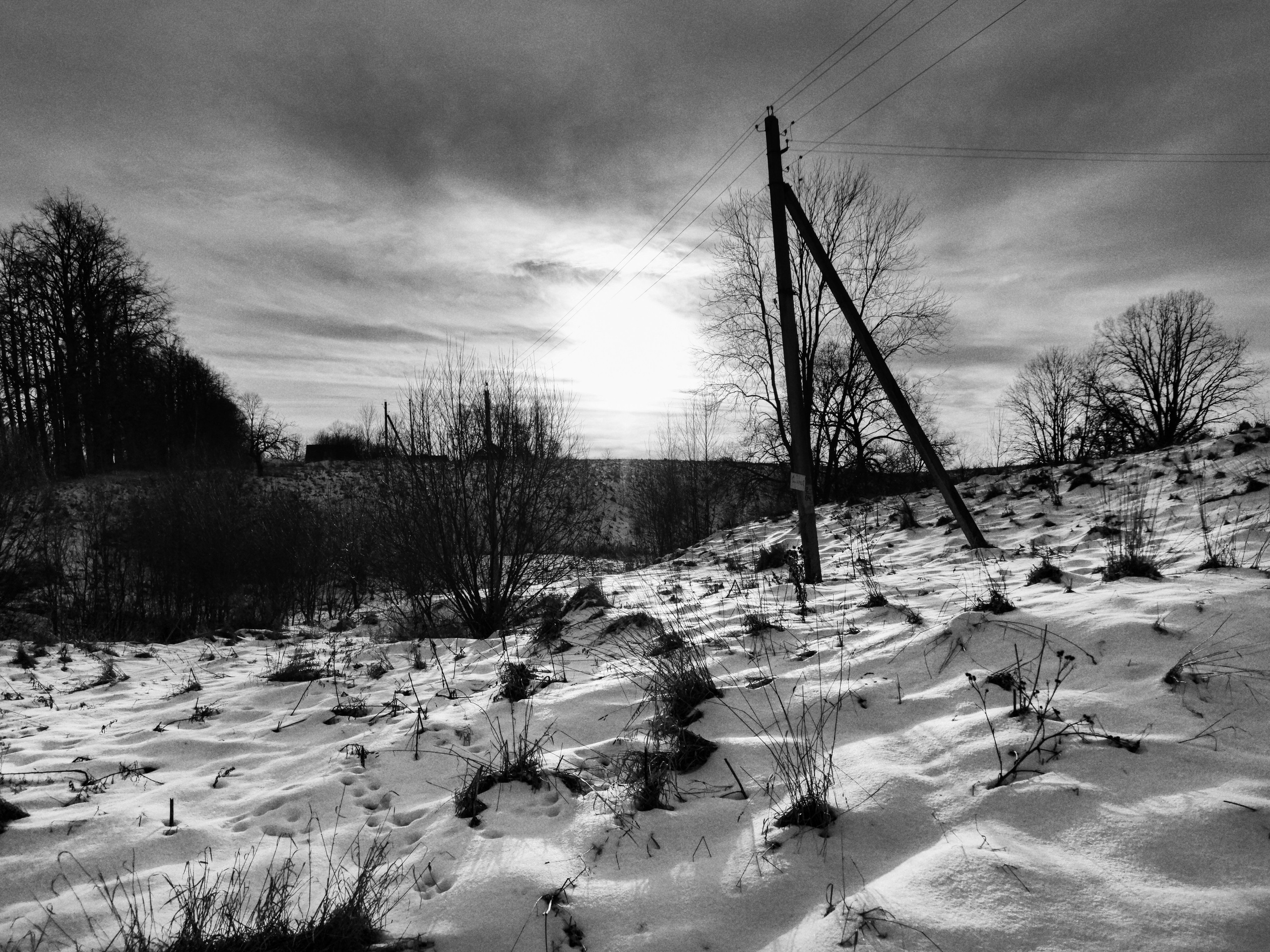 Жизнь деревенская. Фотограф Антон Швец — Монохромная реальность