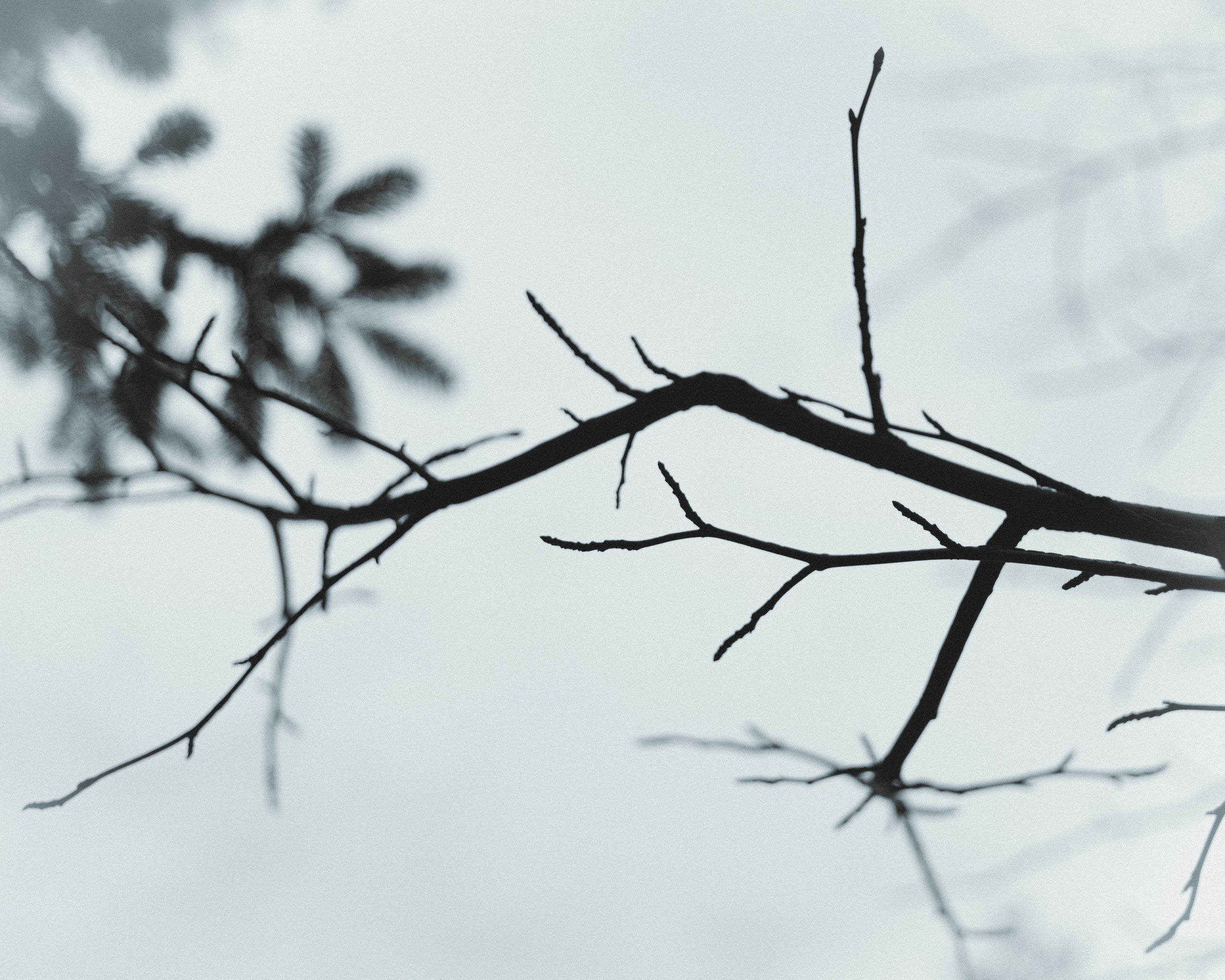 Silence. Главная