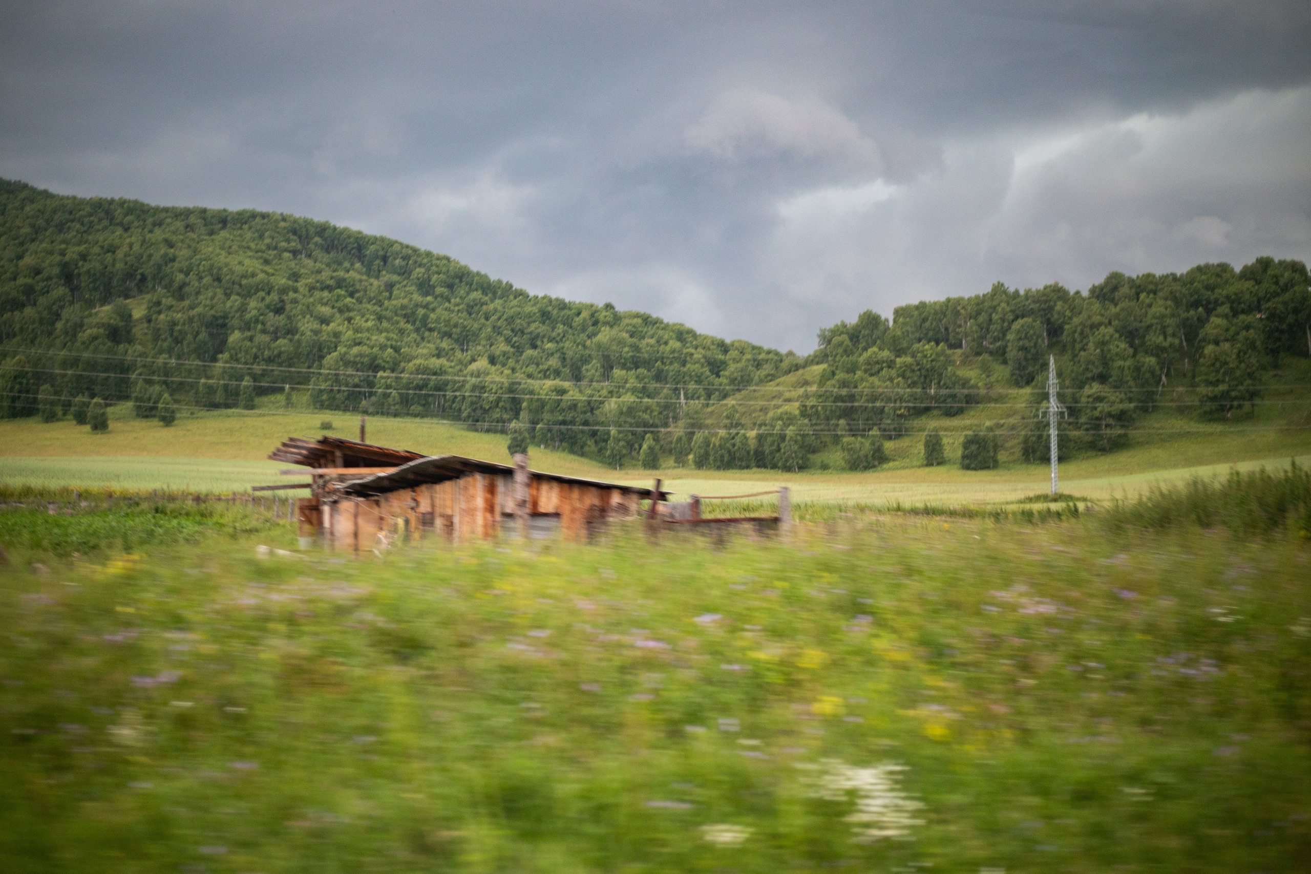 Altai Republic, Russia. Photographer Alina Skitovich