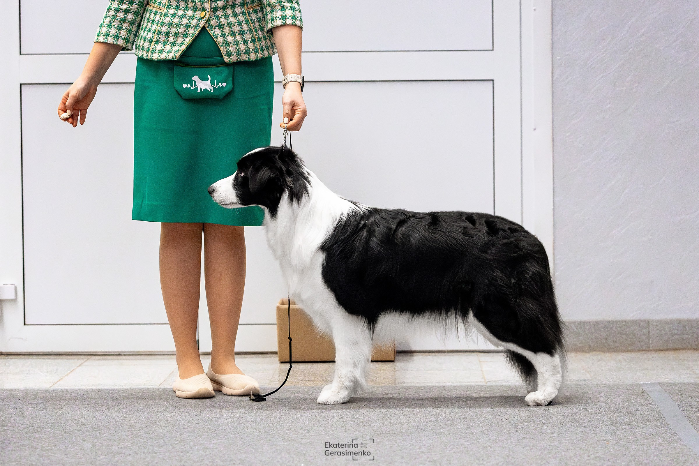 18 января 2025, Выставка РКФ, г. Пермь. Htykk_photo