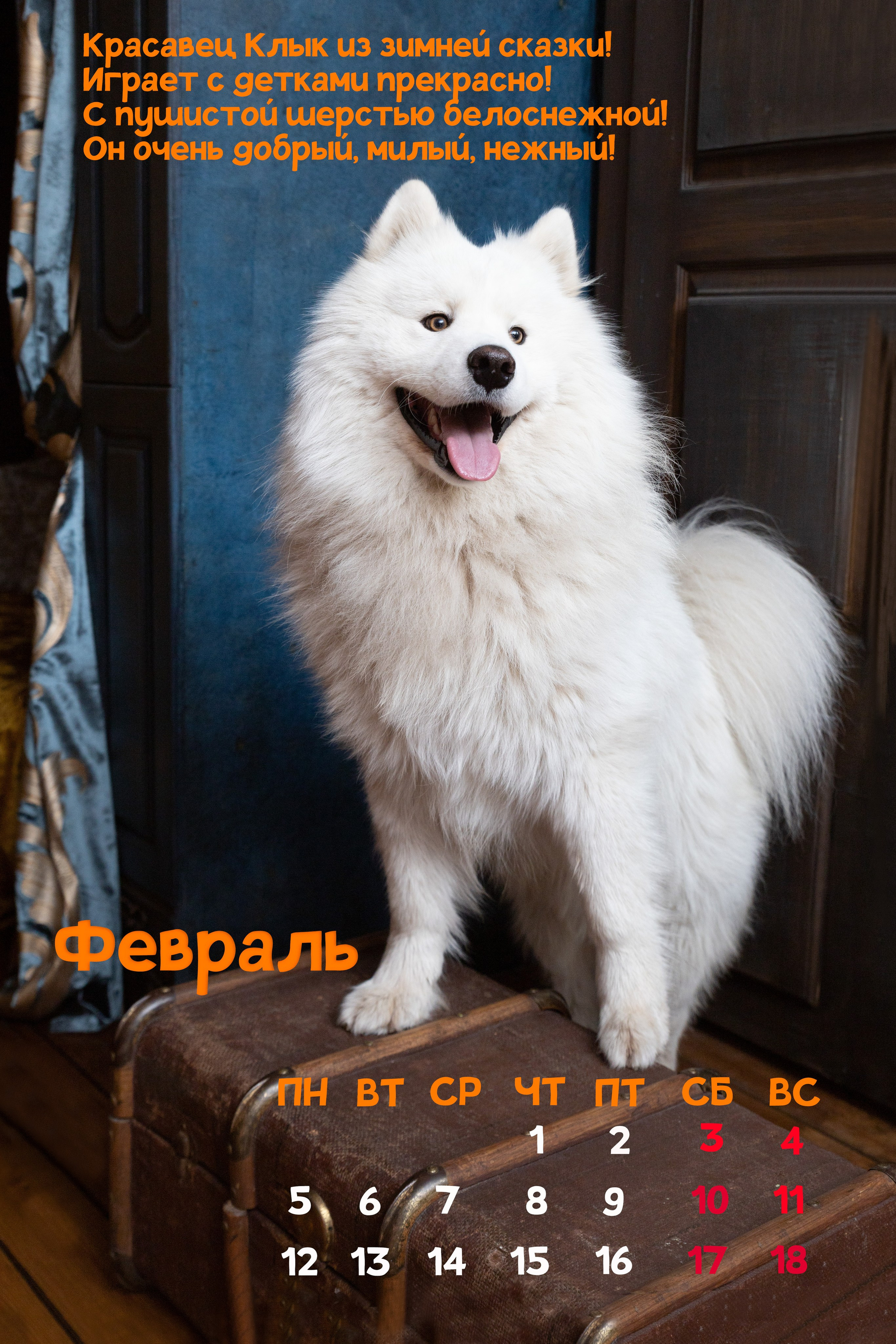 Календарь 2024 Канис. Фотограф Сергей Ушаков