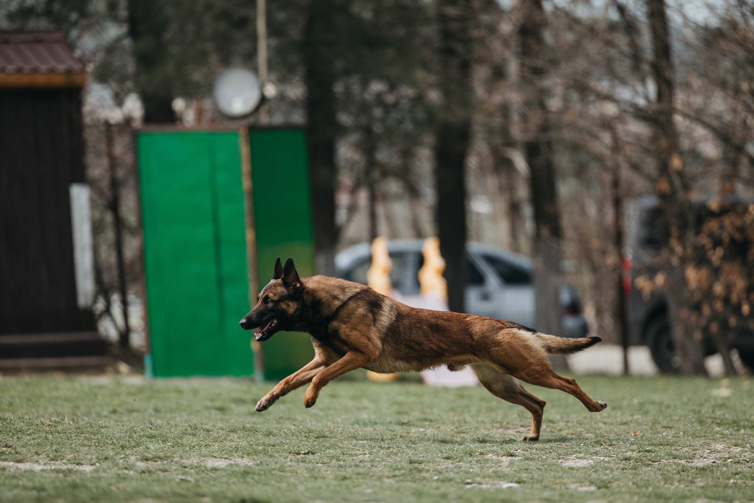 Геленджик Мондьоринг. Фотограф-анималист Анна Маринич