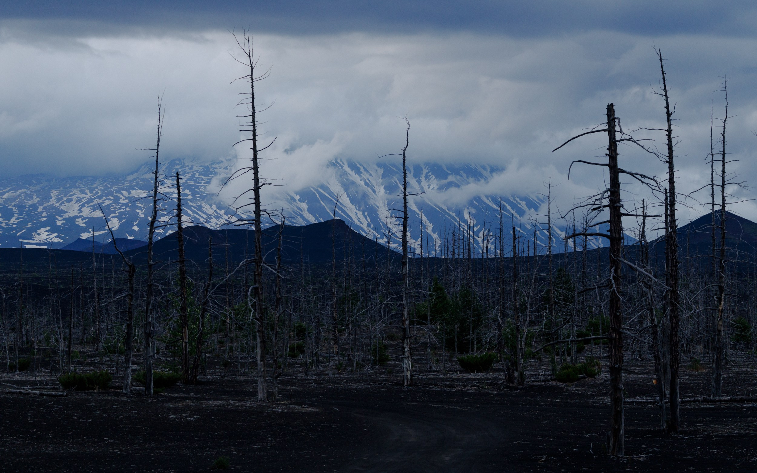 Путешествие на Камчатку. Alexey Shabanov photography