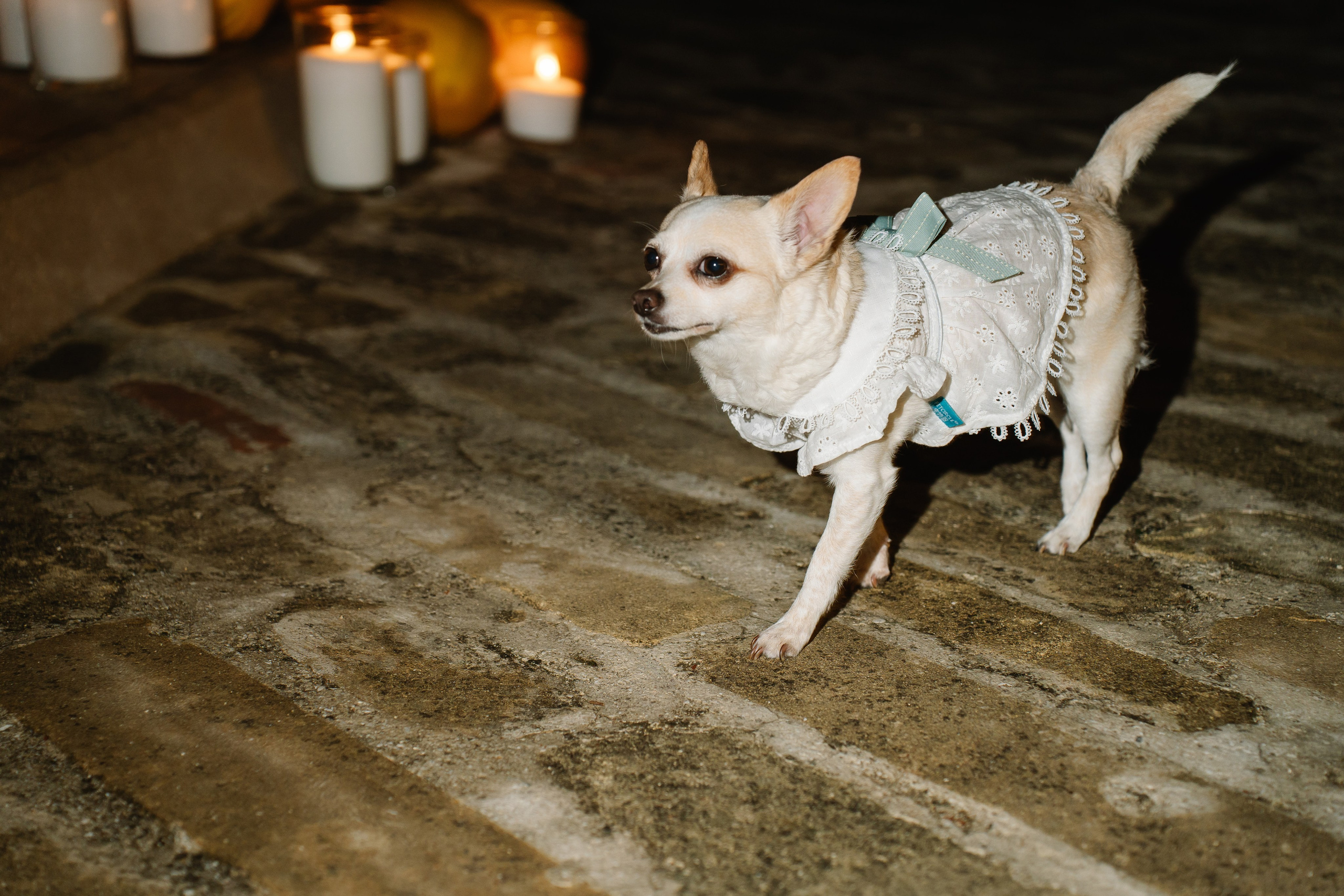 Вместе. Свадебный и семейный фотограф в Анапе Елена Полетаева