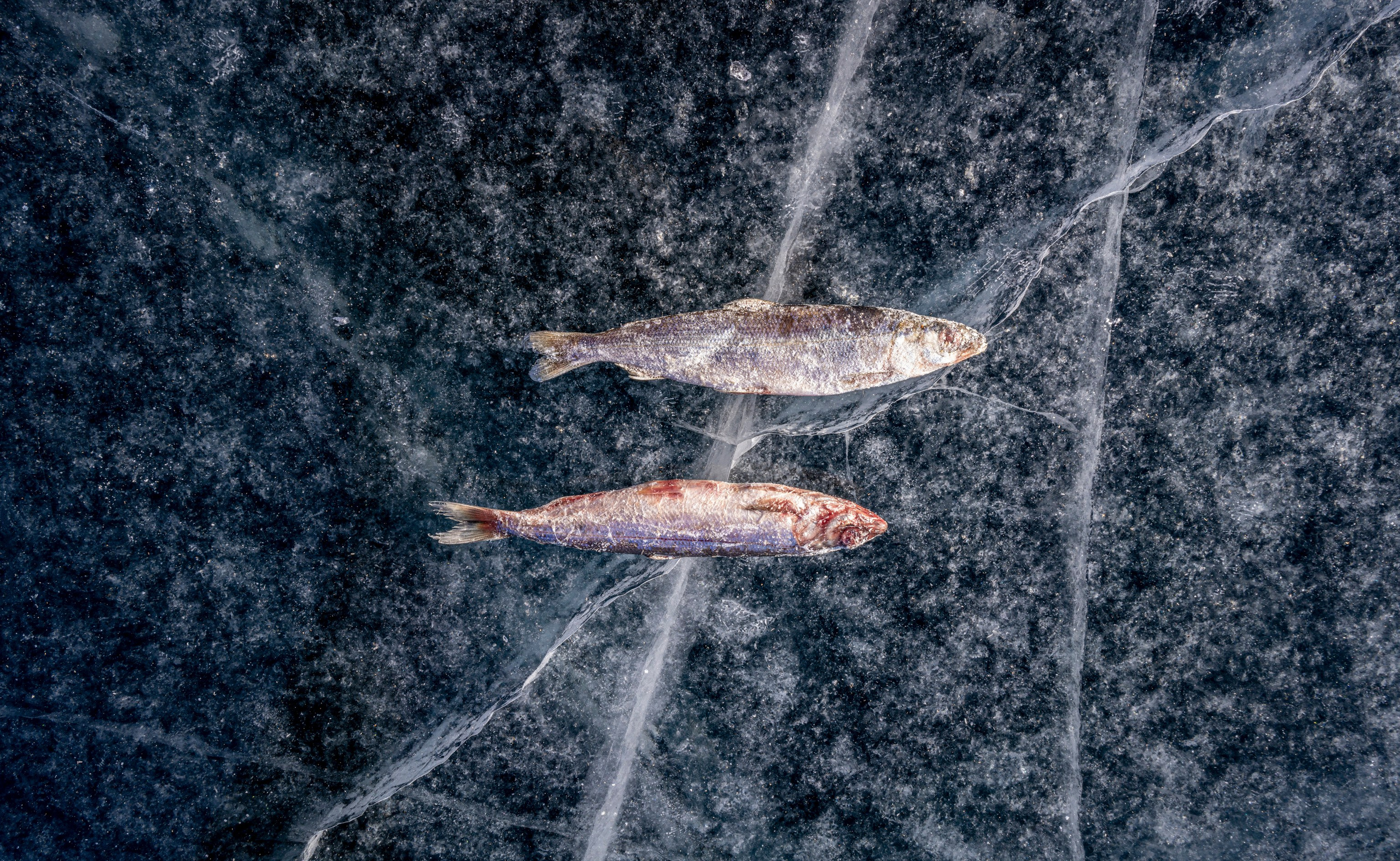 Байкал (март 2021). Фотограф Сергей Танков