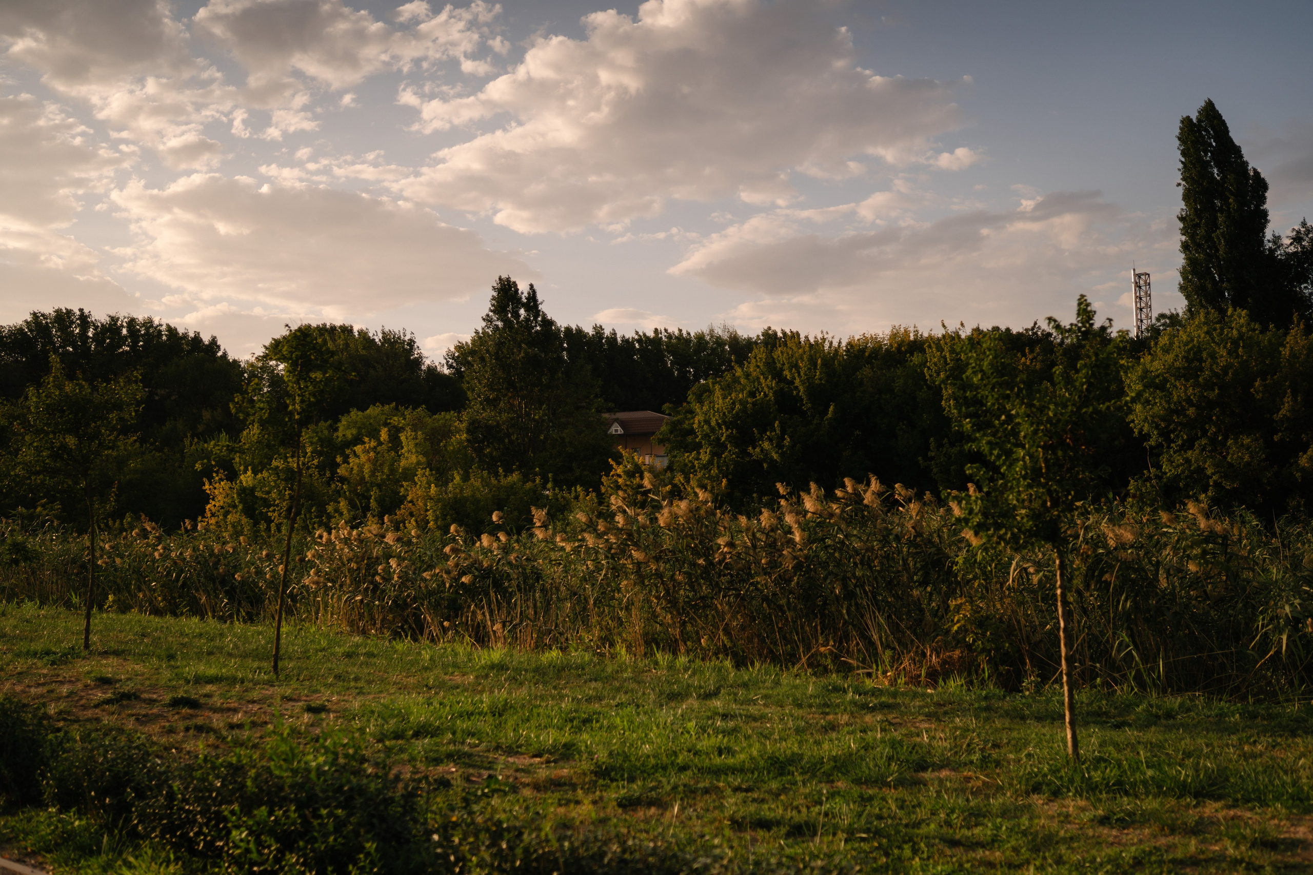 Локации для школьных съемок. Семейный фотограф и видеограф Ростов-на-Дону