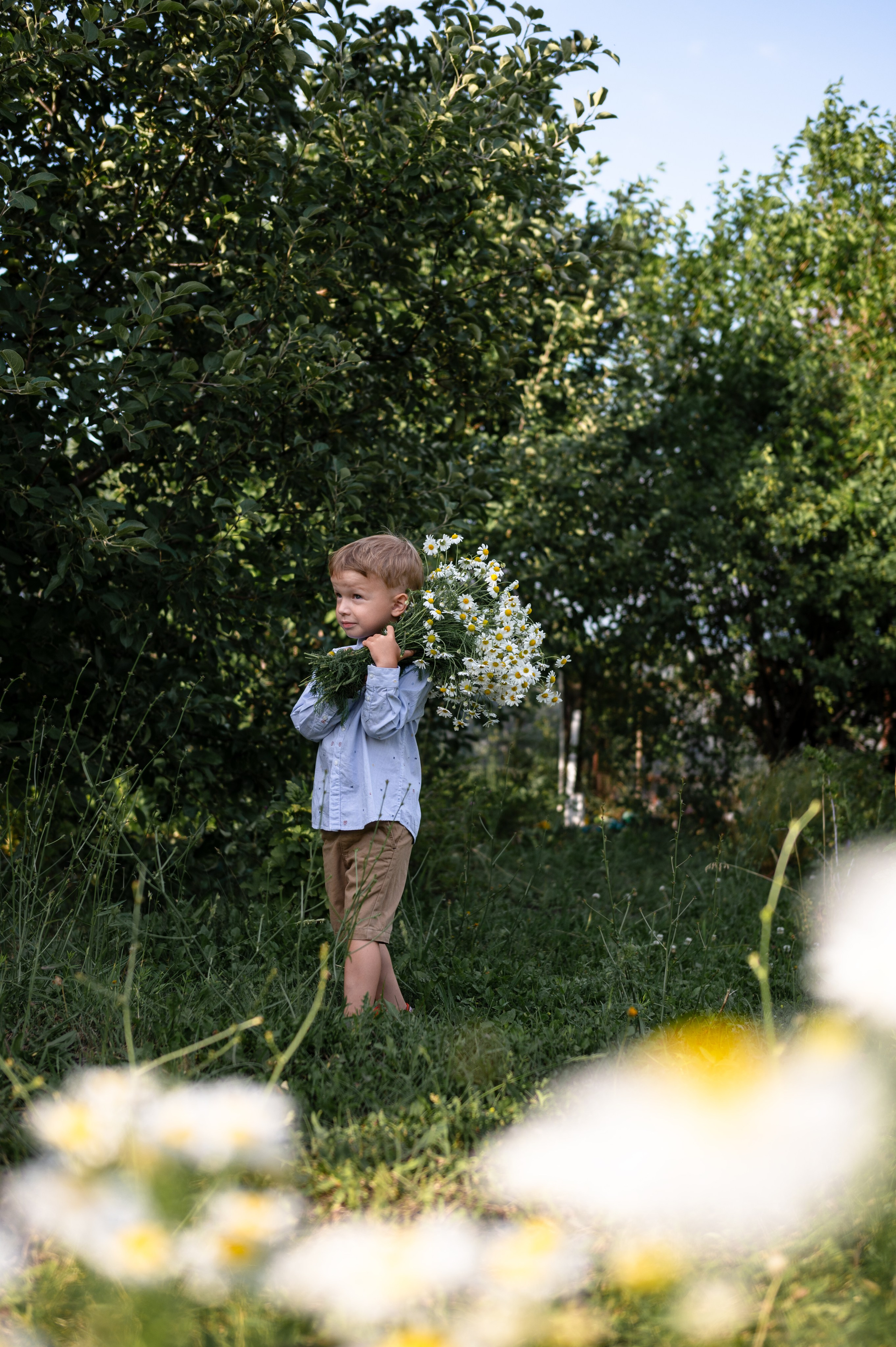 Ромашки и утята. Главная