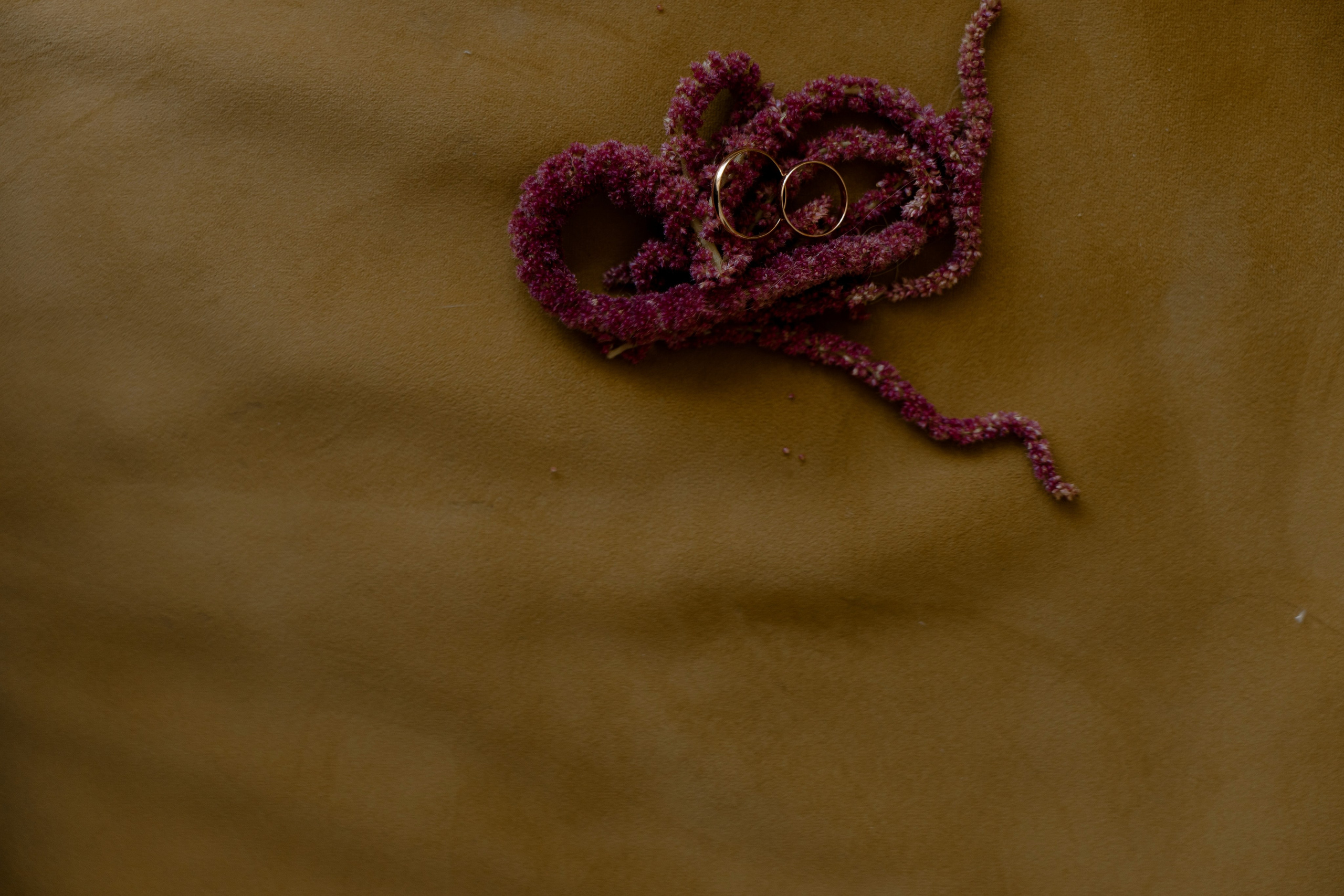 MARSEL | MARGO. Главная