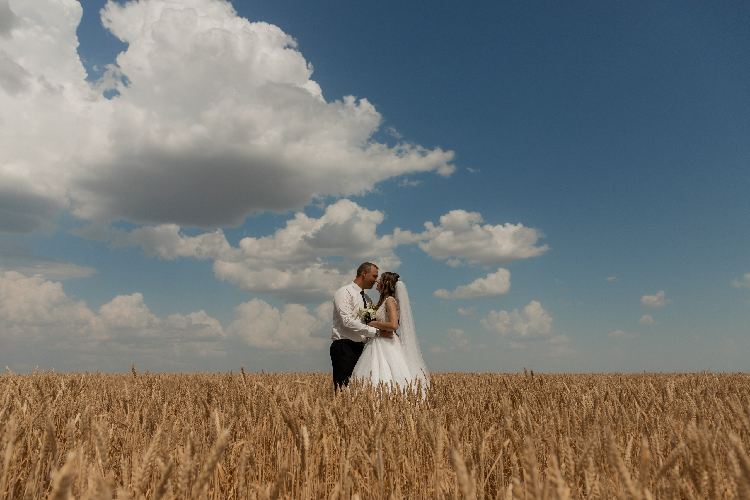 Алексей и Светлана (сокращено). Свадебный фотограф Ангелина Сунгатулина | Саратов | Балаково | Вольск