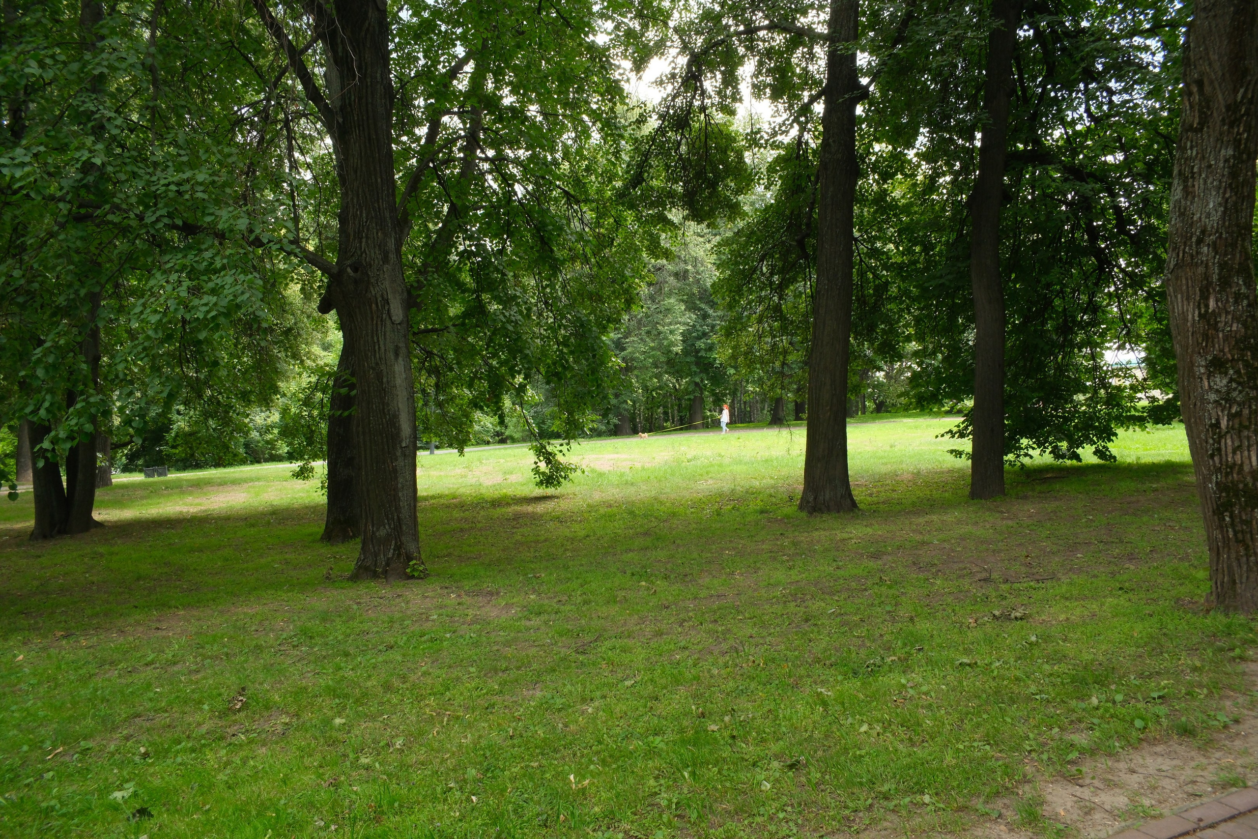 В Коломенском 07.07.2025. Улица, люди, жизнь…