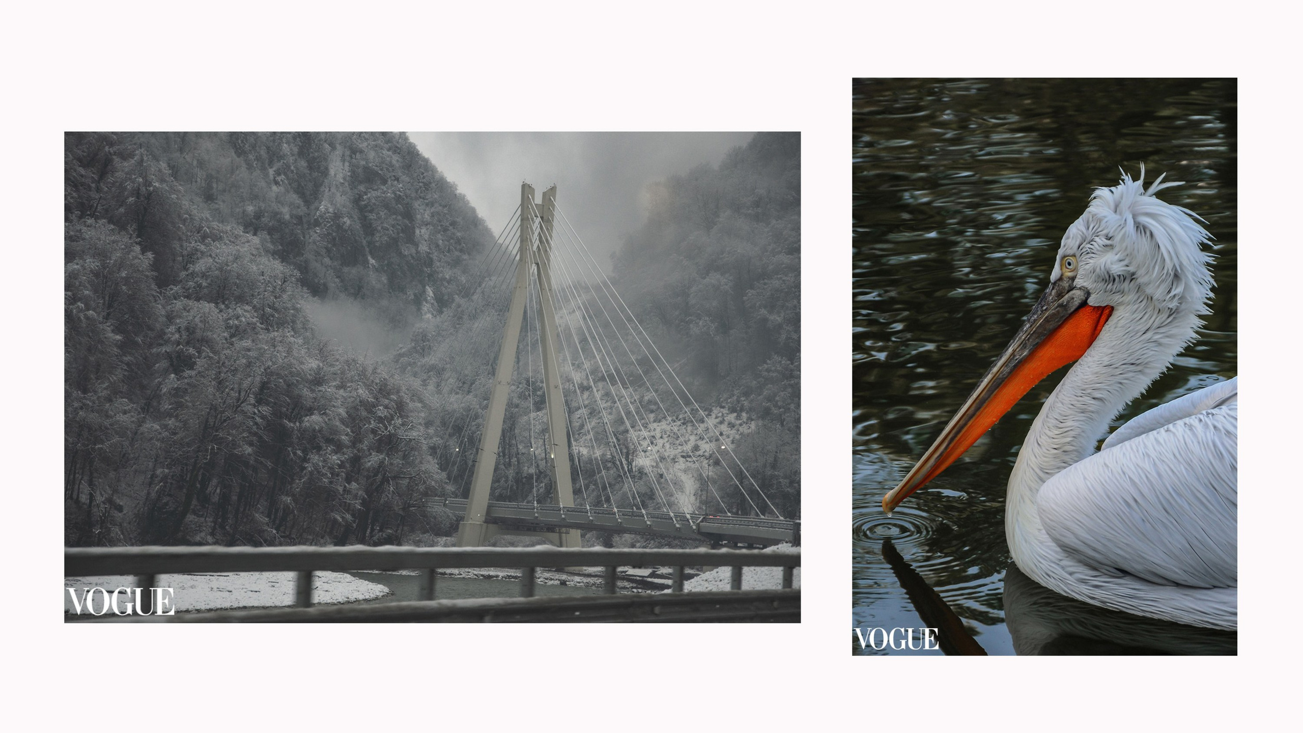 Фотограф Наталия Шляпина в Ростове-на-Дону