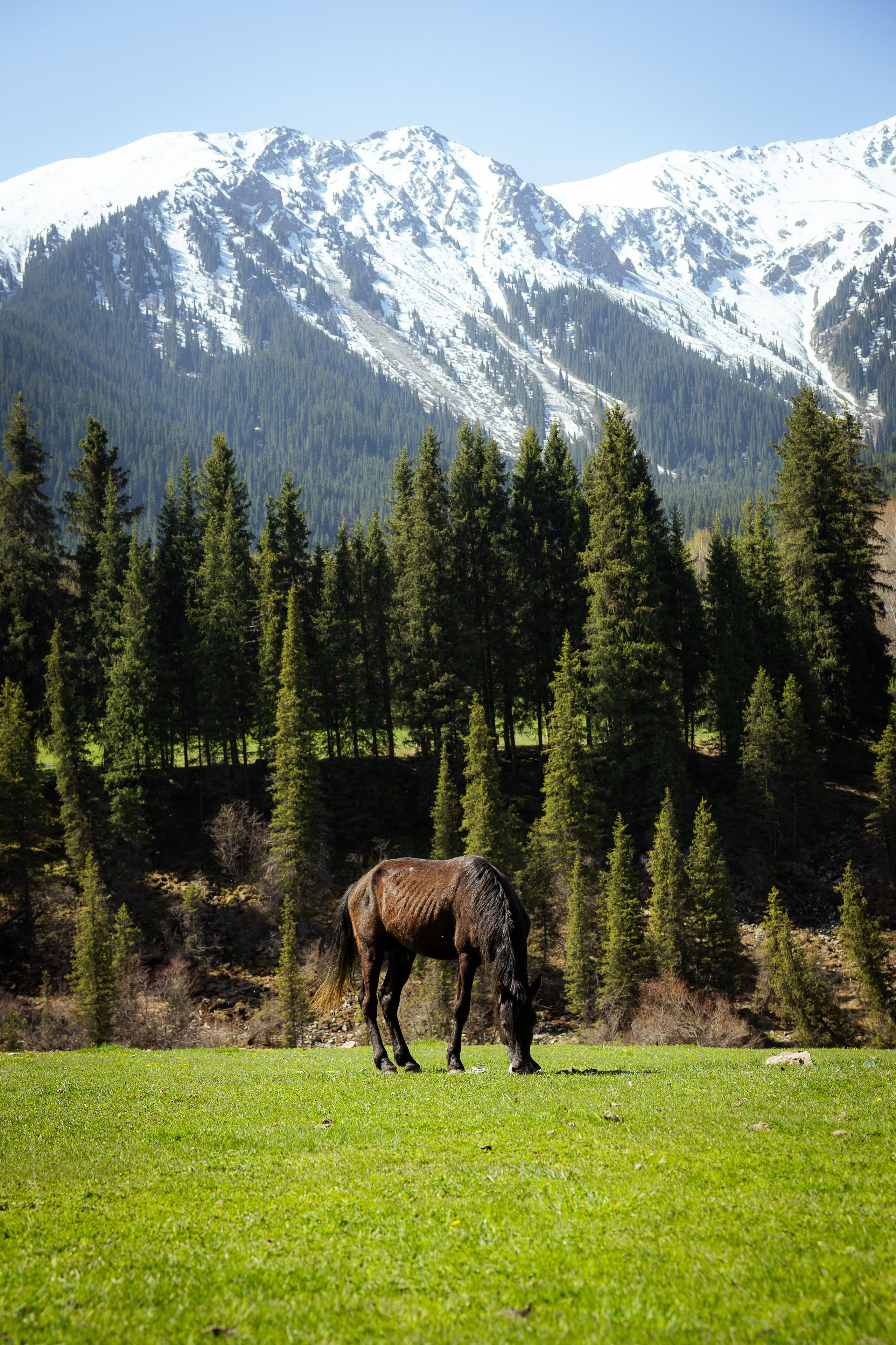 Кыргызстан (весна 2025). Фотограф Виноградов Константин