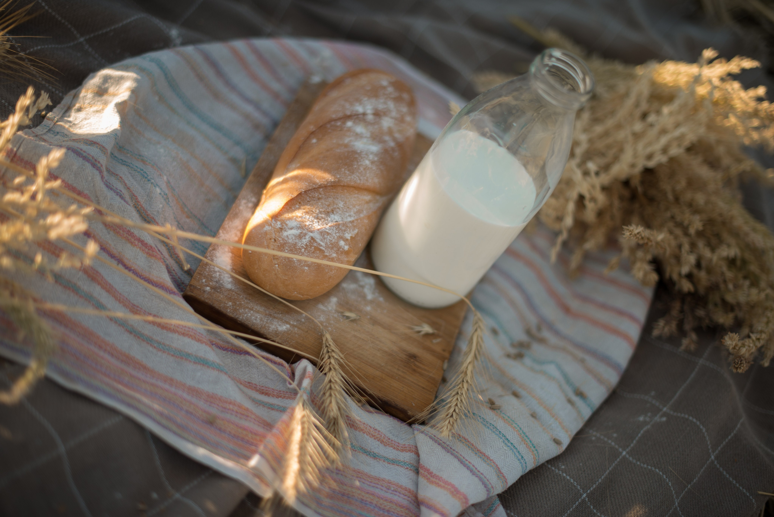 Разные фотосъемки. Конный фотограф в Саратове Юлия Иванова