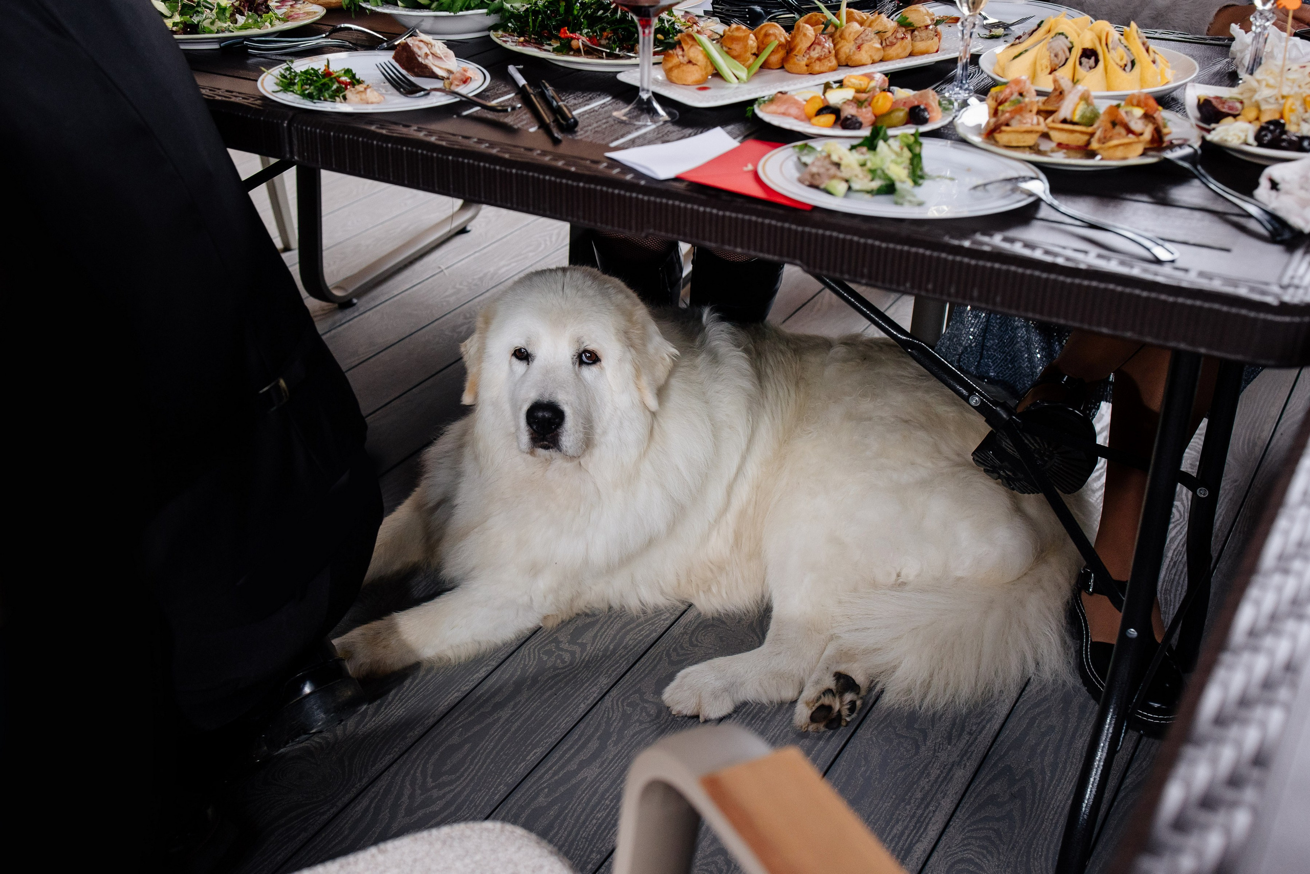 Донна Мария Крылоне и её мафия. Свадебный и семейный фотограф Екатерина Иванова