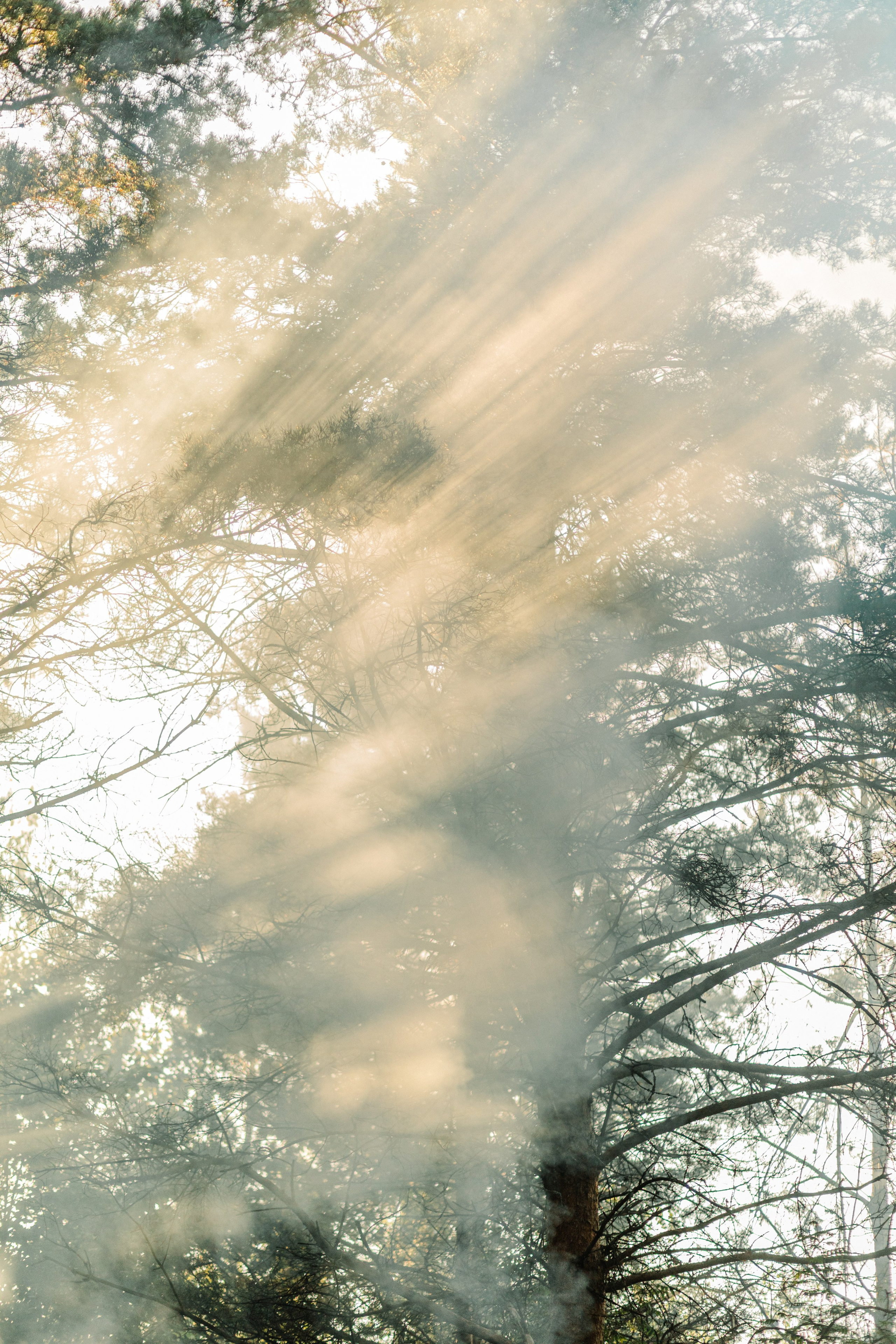 Travel. Лена Крутова. Фотограф в Москве