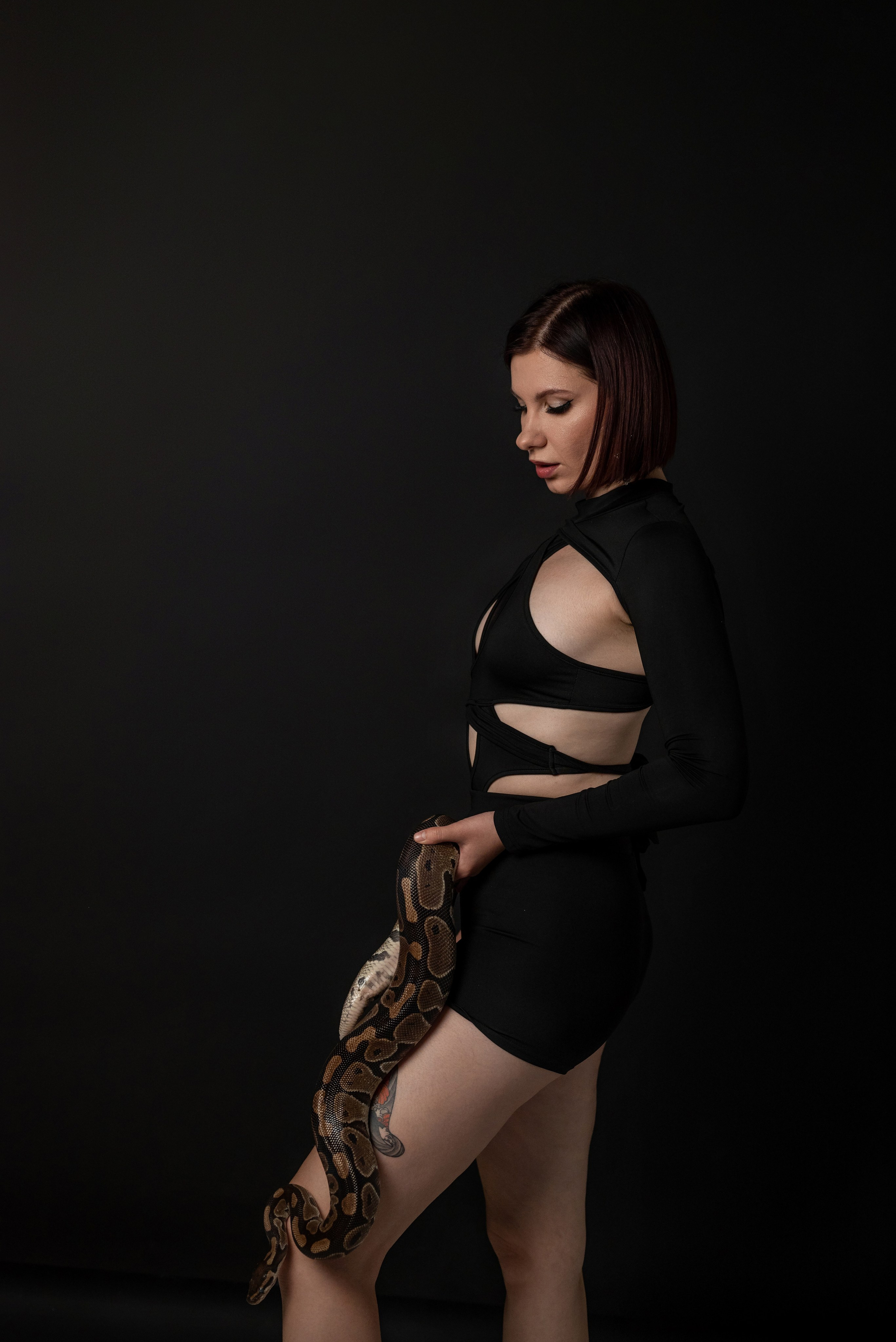 Фотопроект с питоном. Фотограф в городе Салават