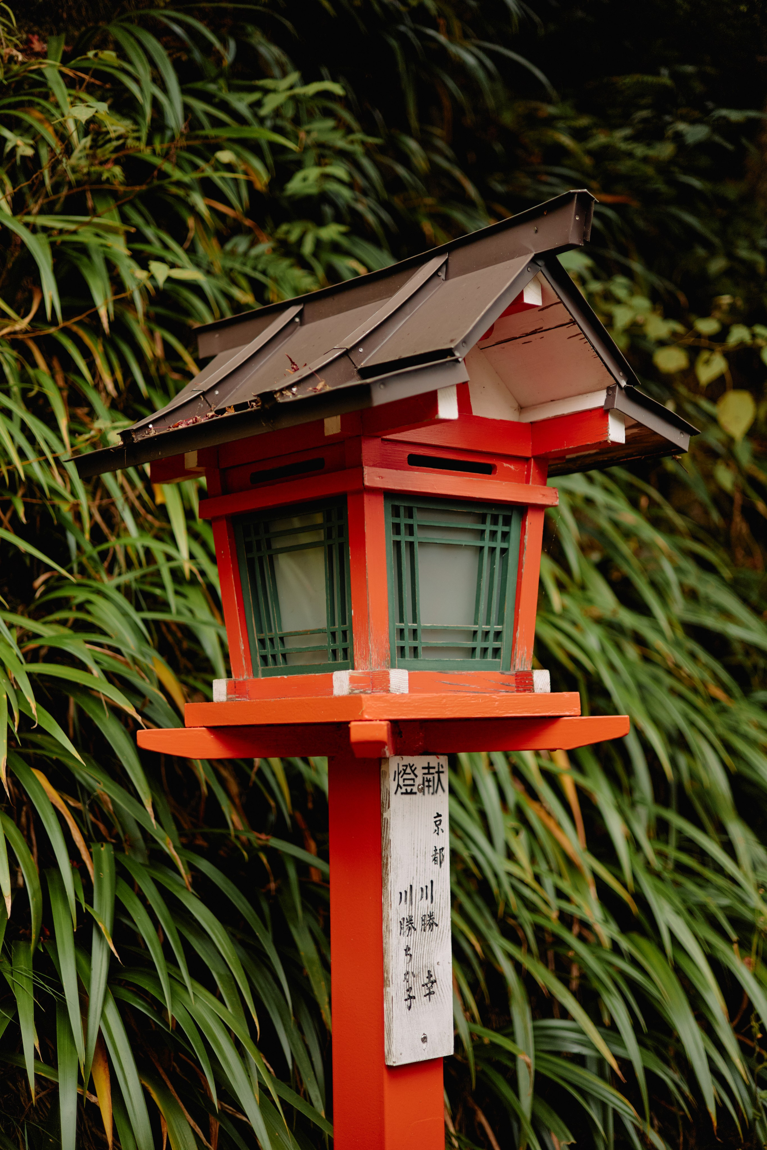 Япония. Профессиональный Фотограф во Владимире, в Москве и в Суздале — Полина Романычева