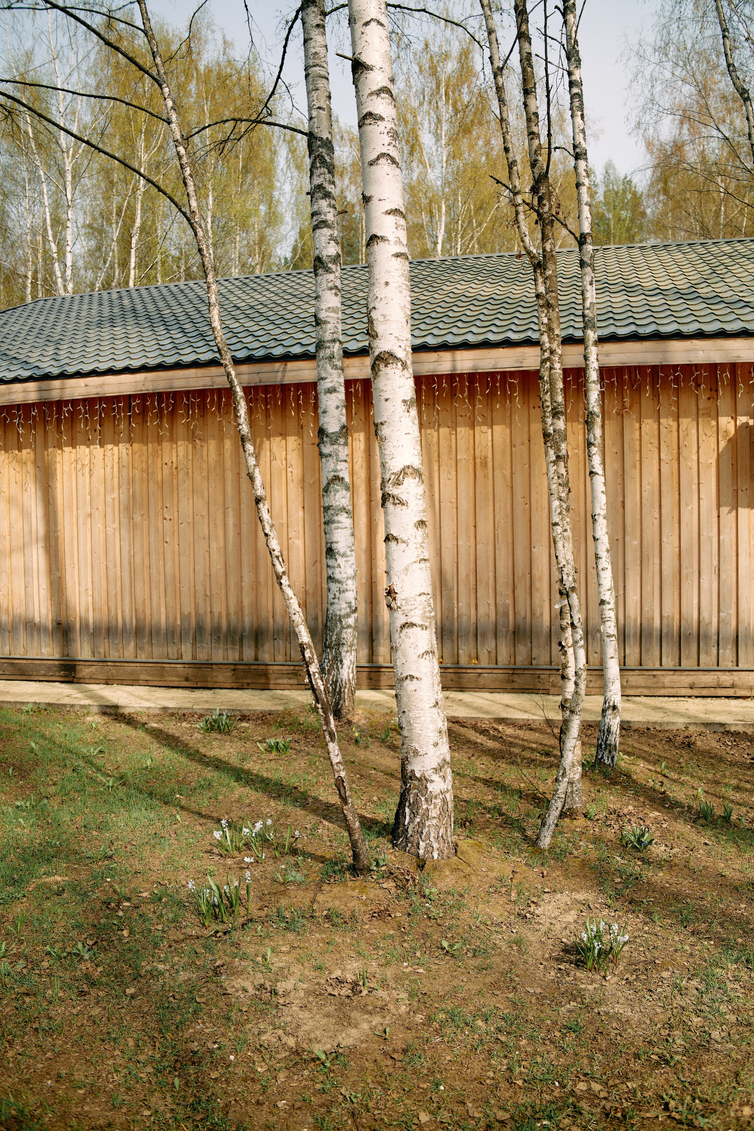 Бутик-отель Поле летом. Профессиональный Фотограф во Владимире, в Москве и в Суздале — Полина Романычева