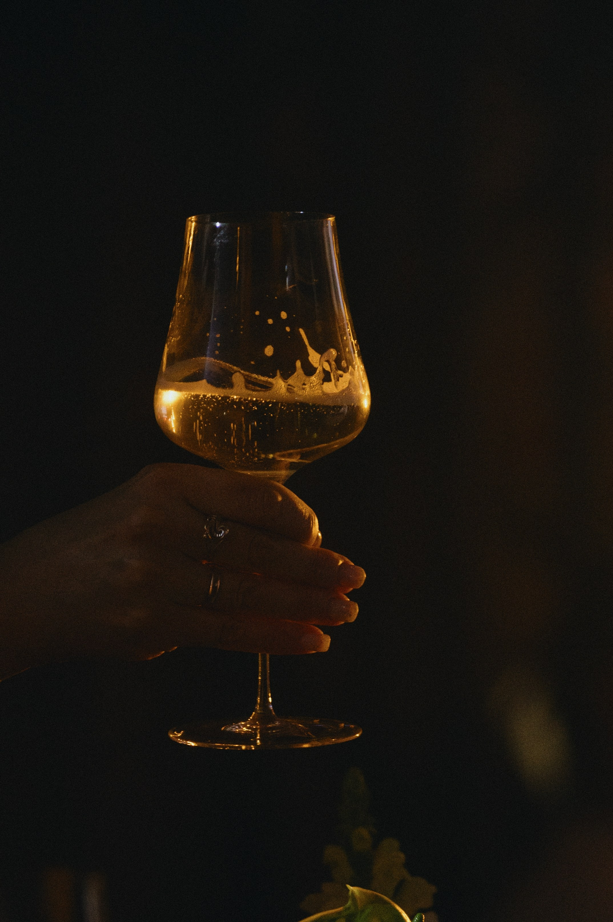 Данил и Оля. Свадебный фотограф и видеограф