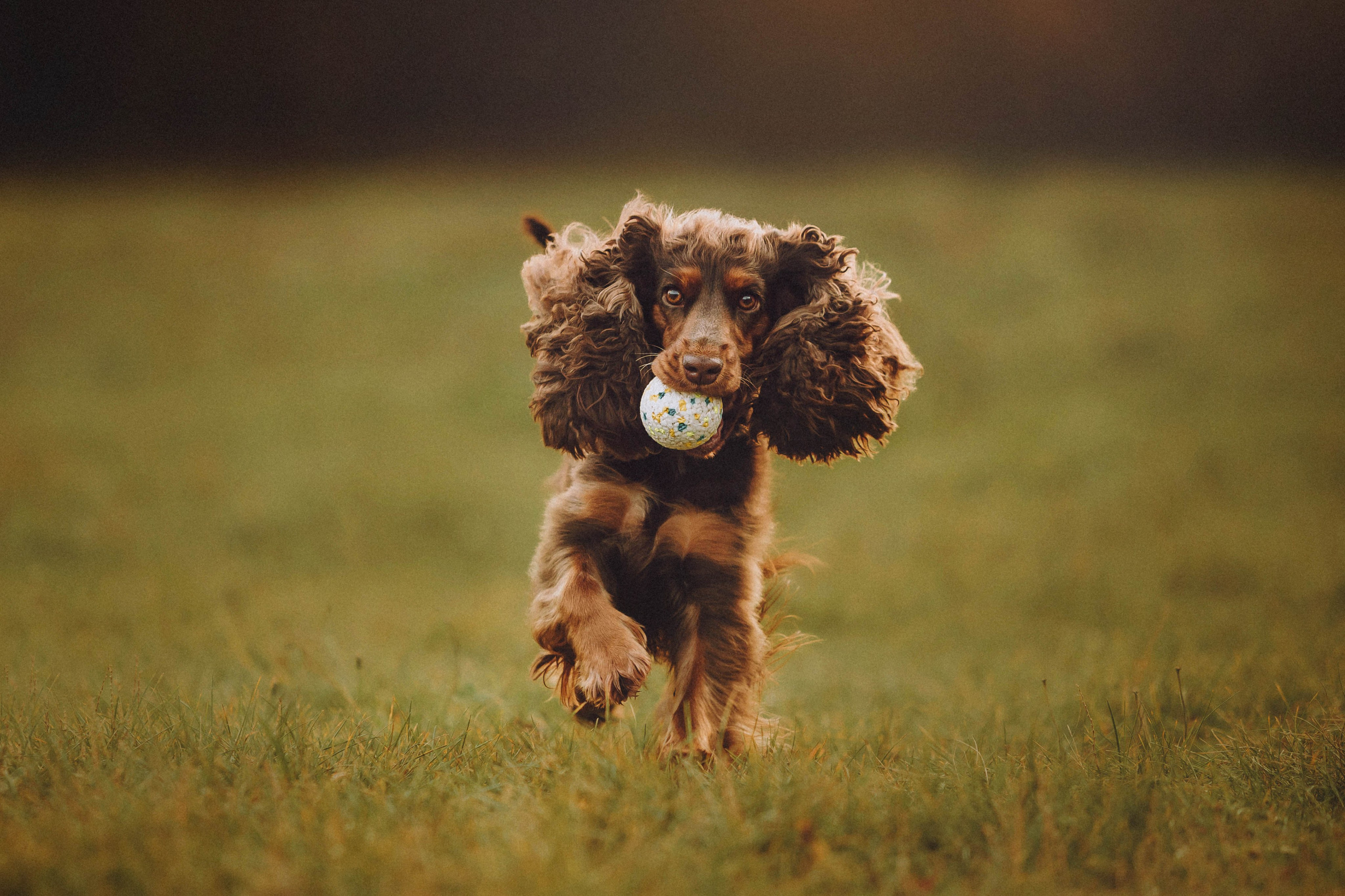 Настя, Саша и Эстер