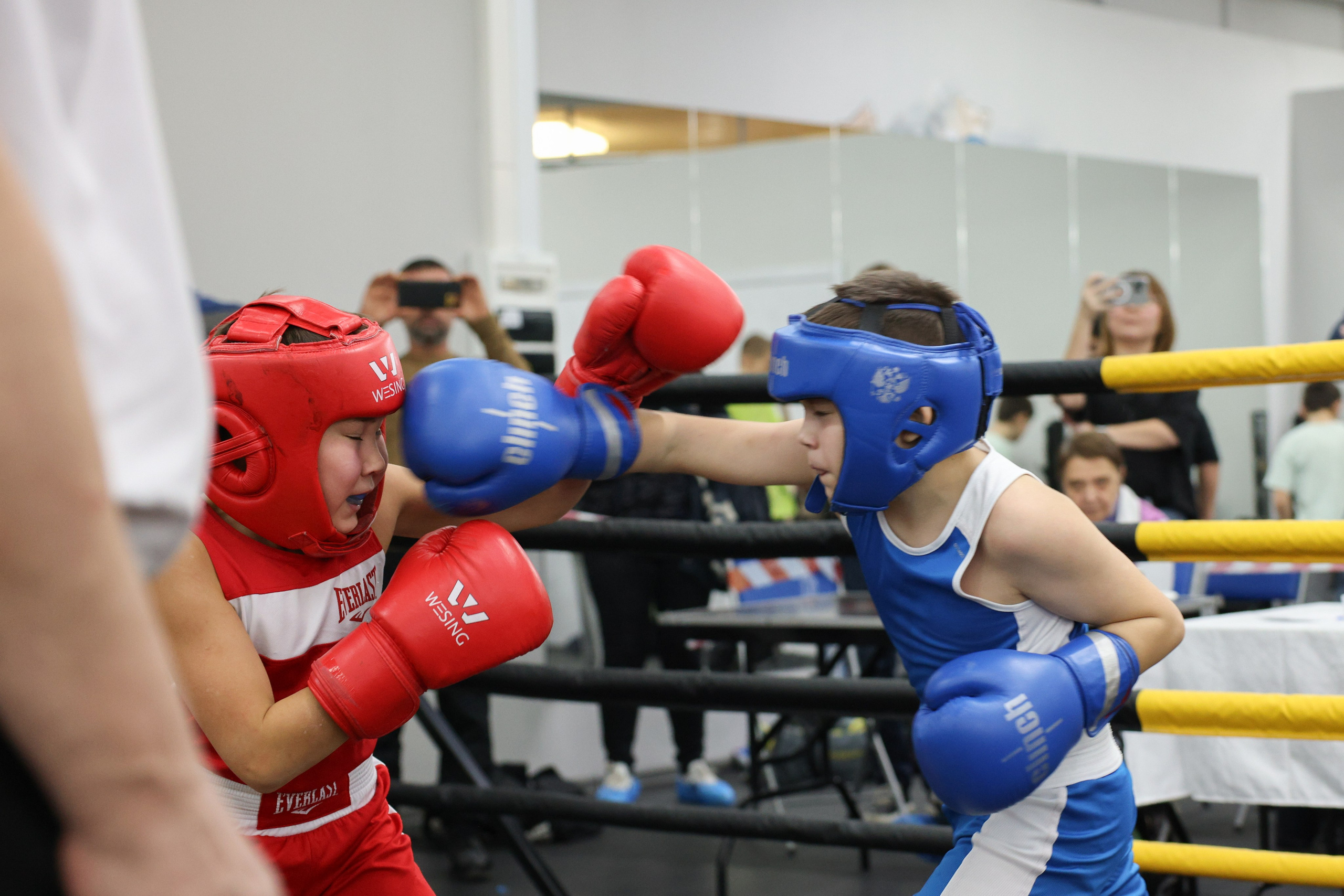 Открытый ринг «кубок ООО «ТЭК НеваСпецТяж». Фотограф Александр Заломаев