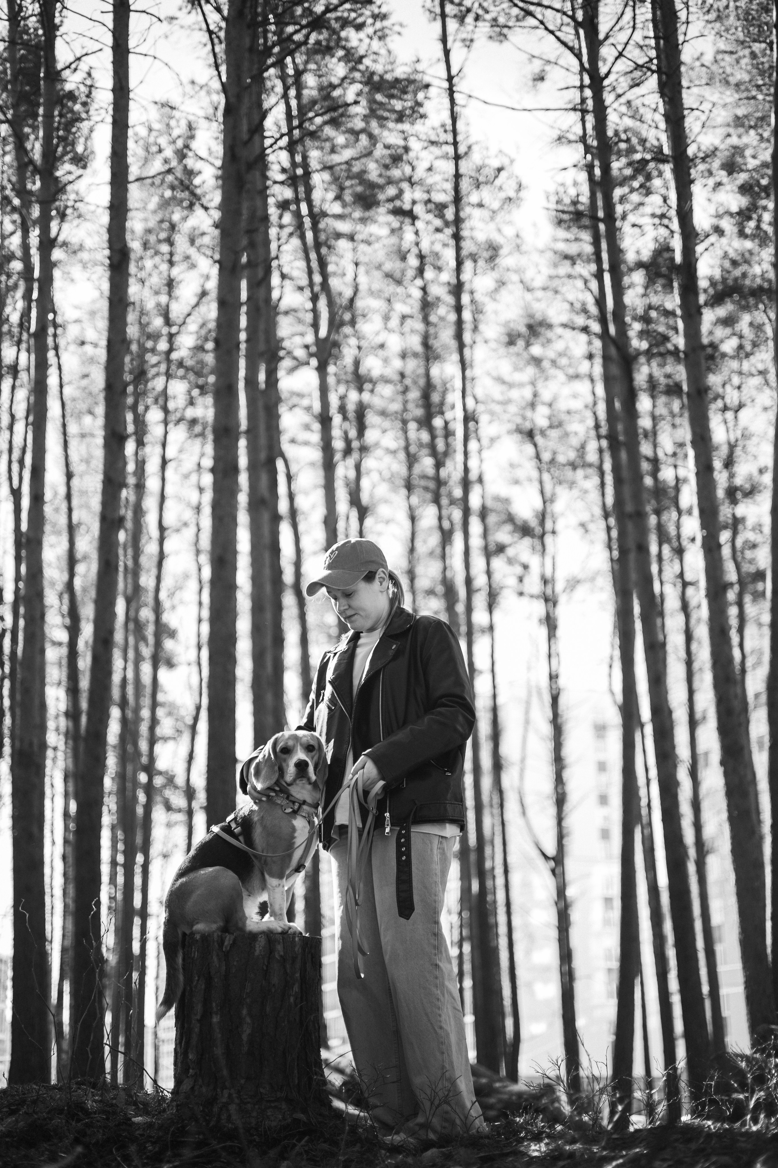 Ксения и Бетти. Фотограф животных Евгения Верцинская