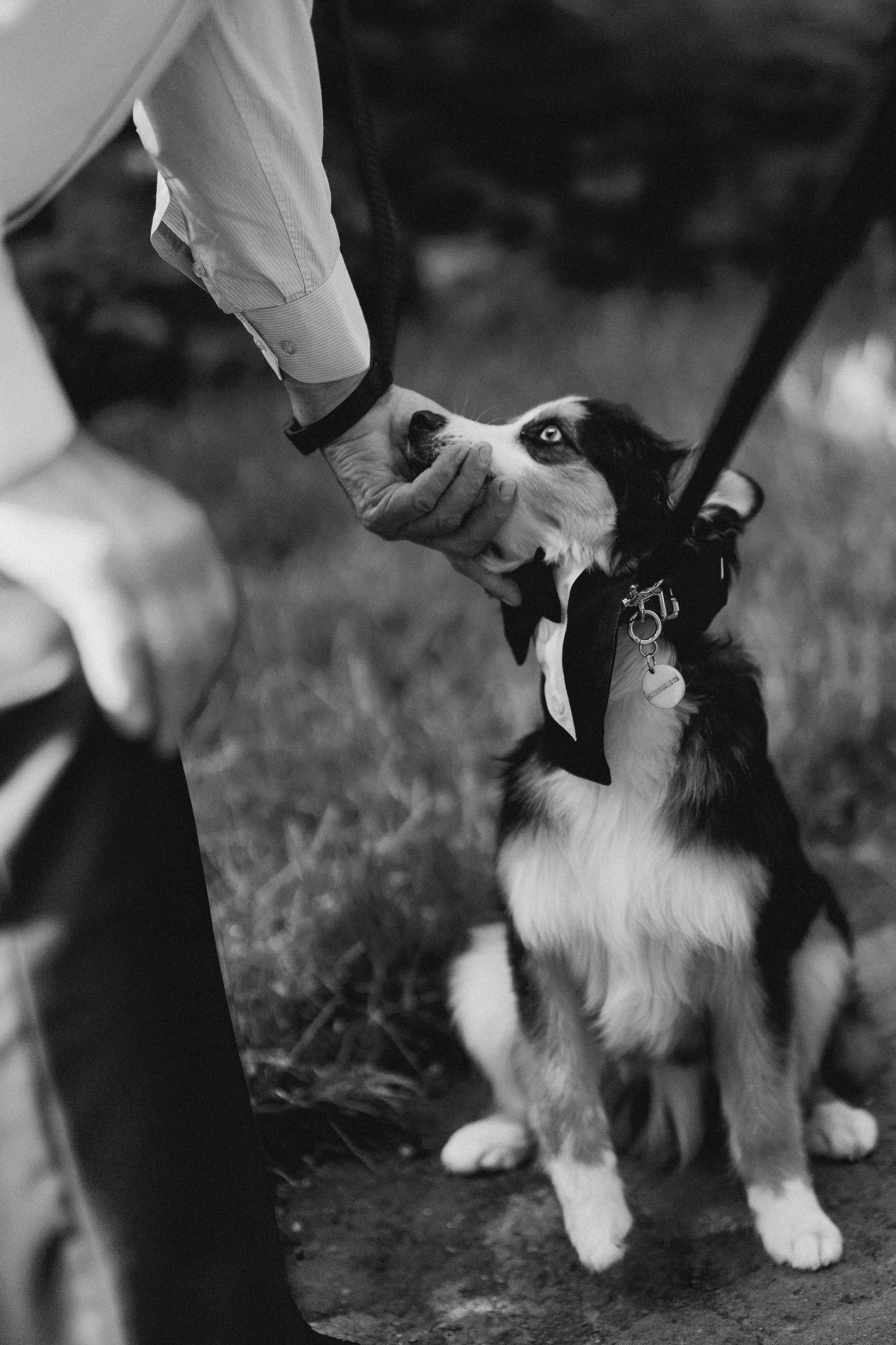 Sí!. Свадебный фотограф в Москве | Профессиональный фотограф | Выгодные цены на услуги