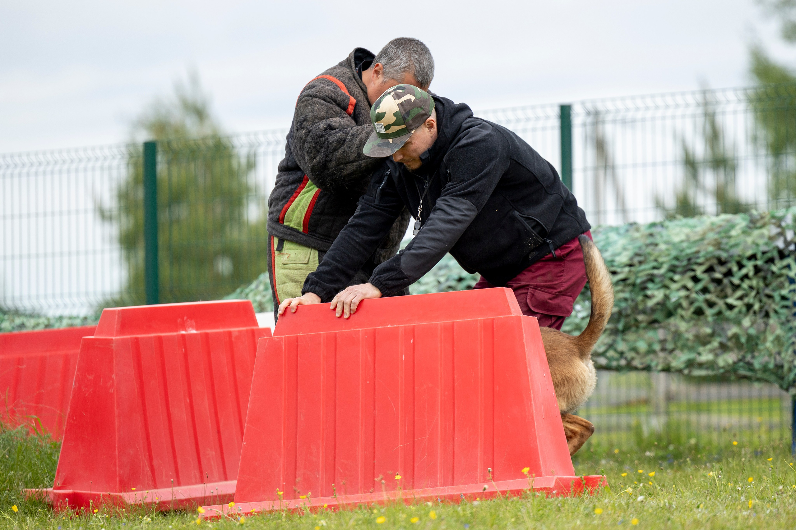 Испытания по мондьорингу в Нижнем Новгороде. Фотограф-анималист Анна Маринич