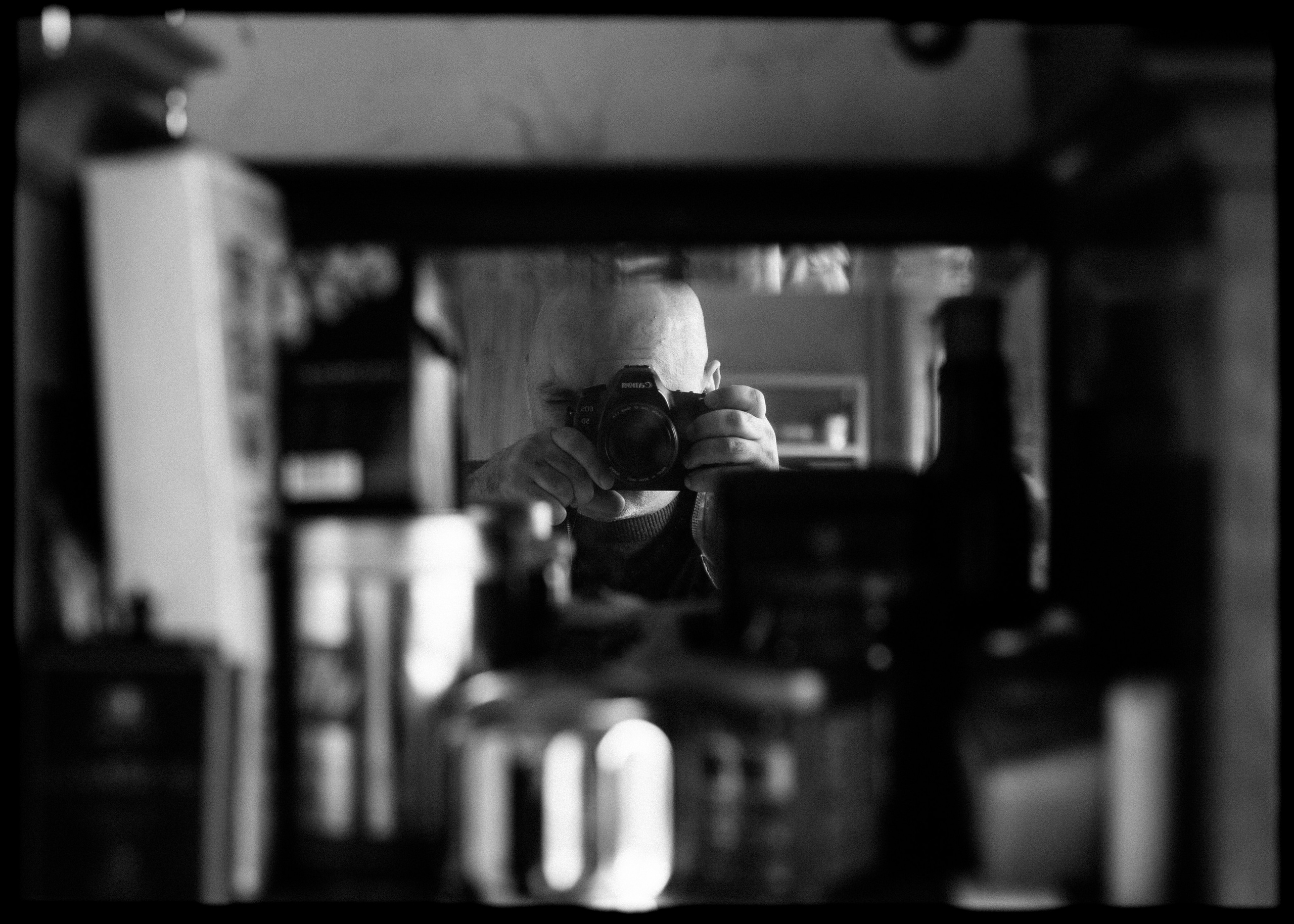 (YarOman) Жизнь в лесу. Фотография, как она есть