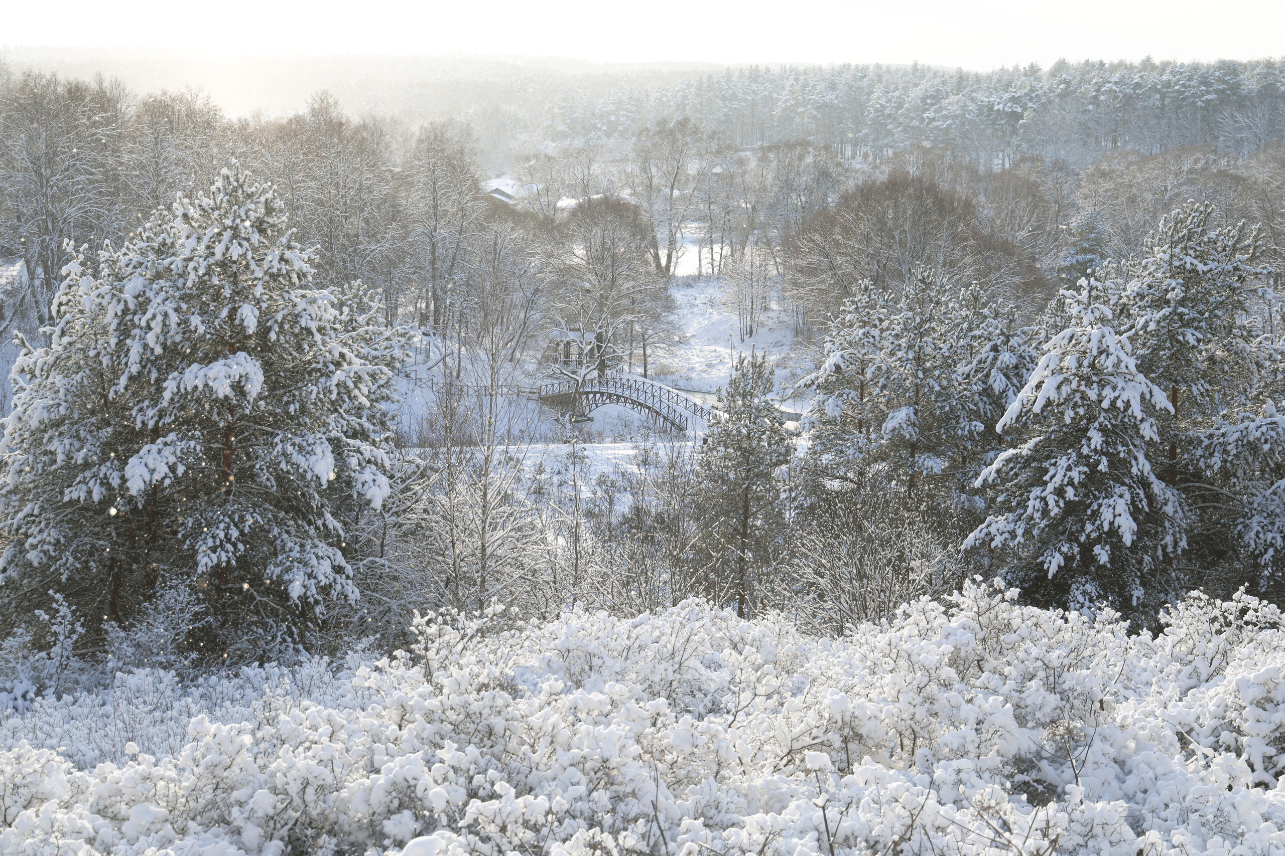 Рождествено Зима 2026. Фотограф Максим Татаринов