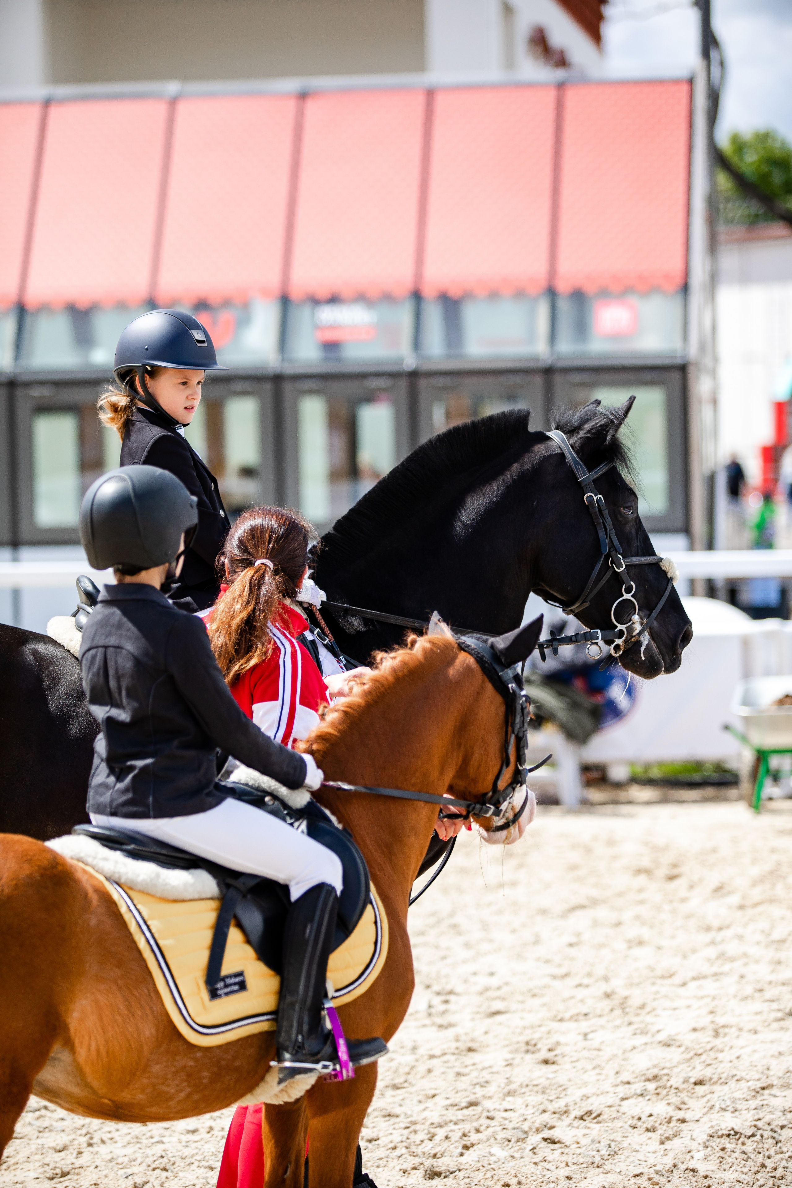 Турниры. Veronika Makeeva horse photo