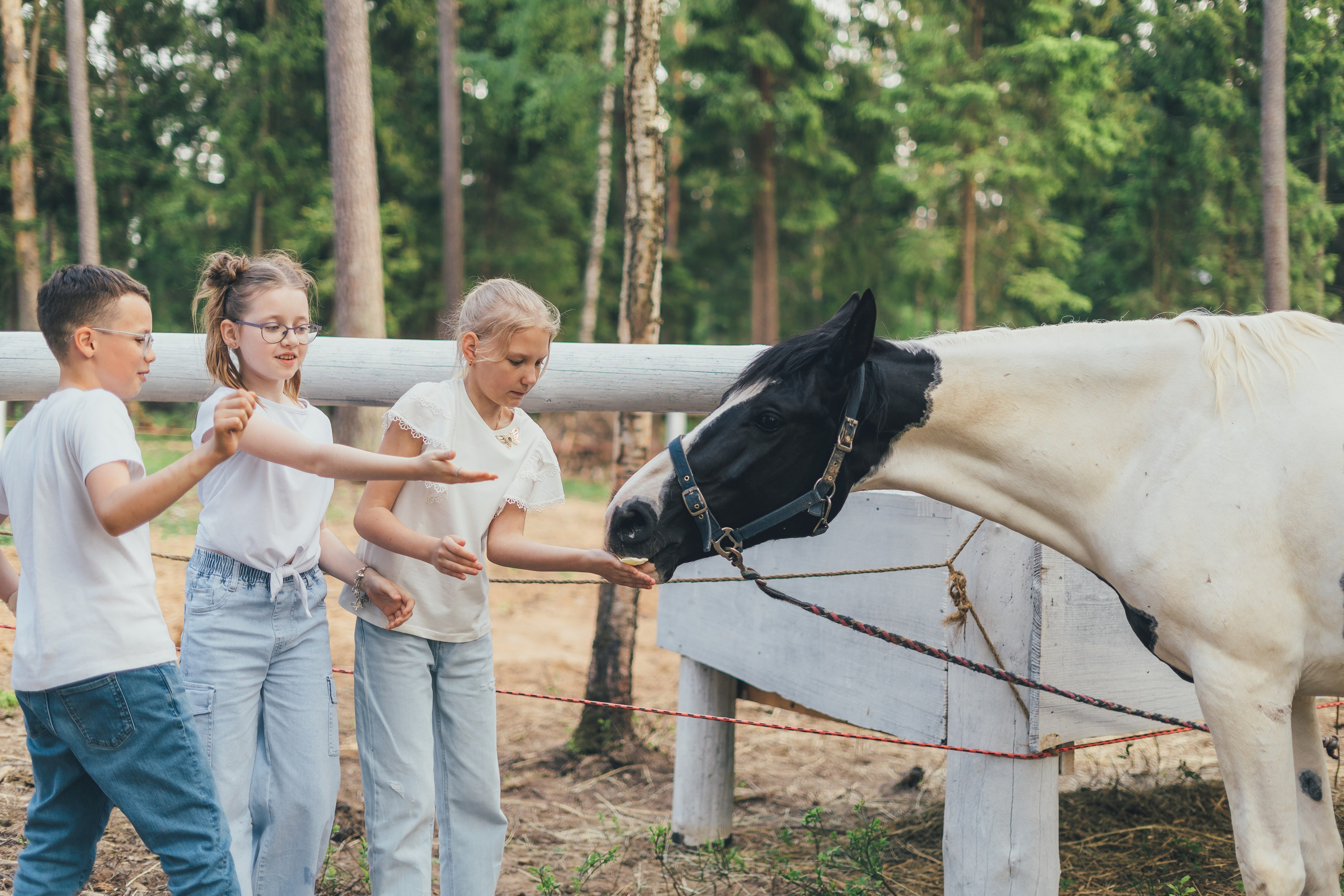 Выпускной 4 класса, Щелково, загородный клуб Барин. Наталья Дукалова фотограф Щелково Королев Пушкино Москва Балашиха