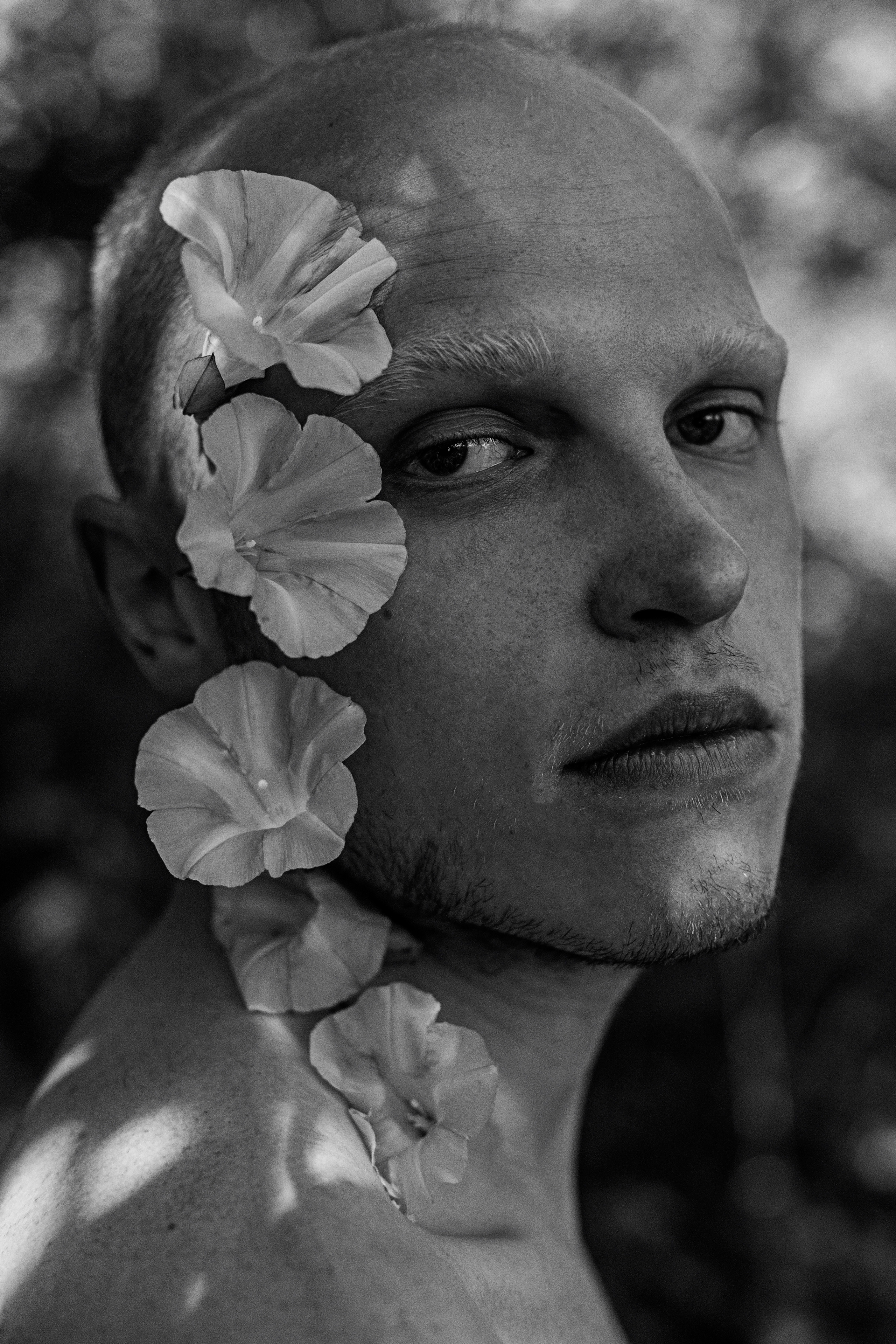 Ярослав. Сергей Виноградов фотограф Россия Санкт-Петербург