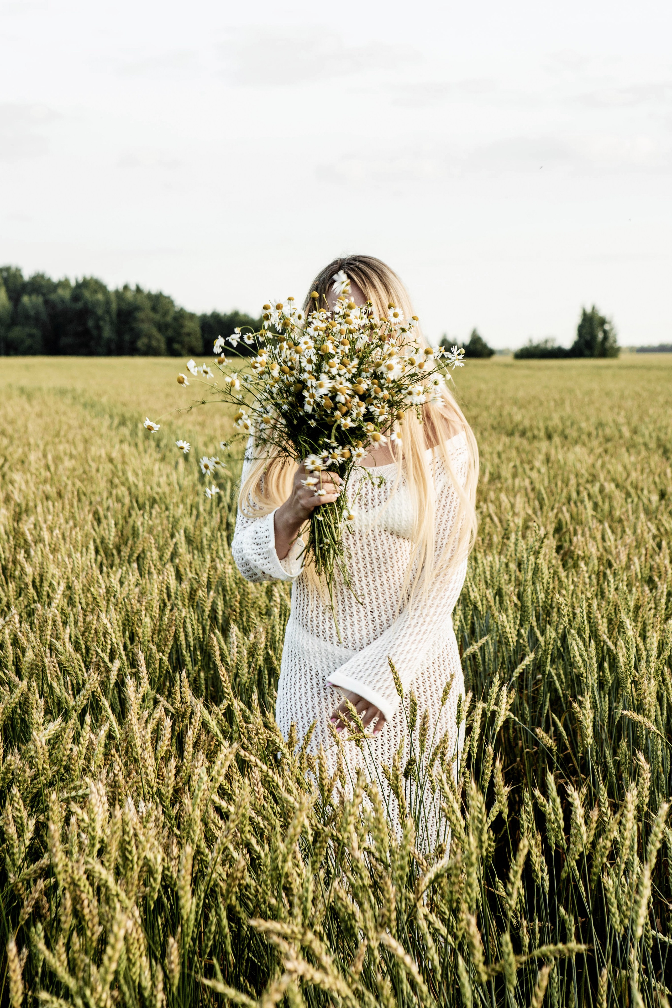 Ромашки. Фотограф Екатерина Голицына