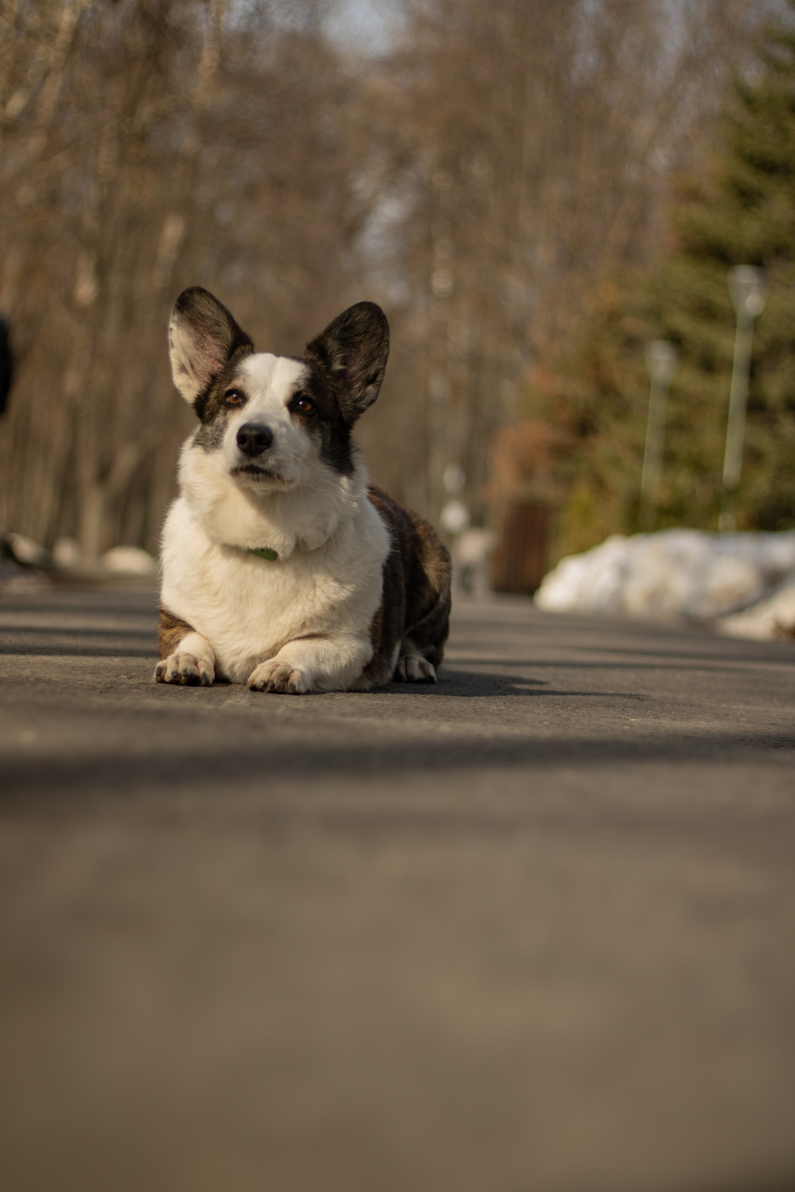 Юлия и Тэя. Катя Попова|ЛайфСтайл фотограф