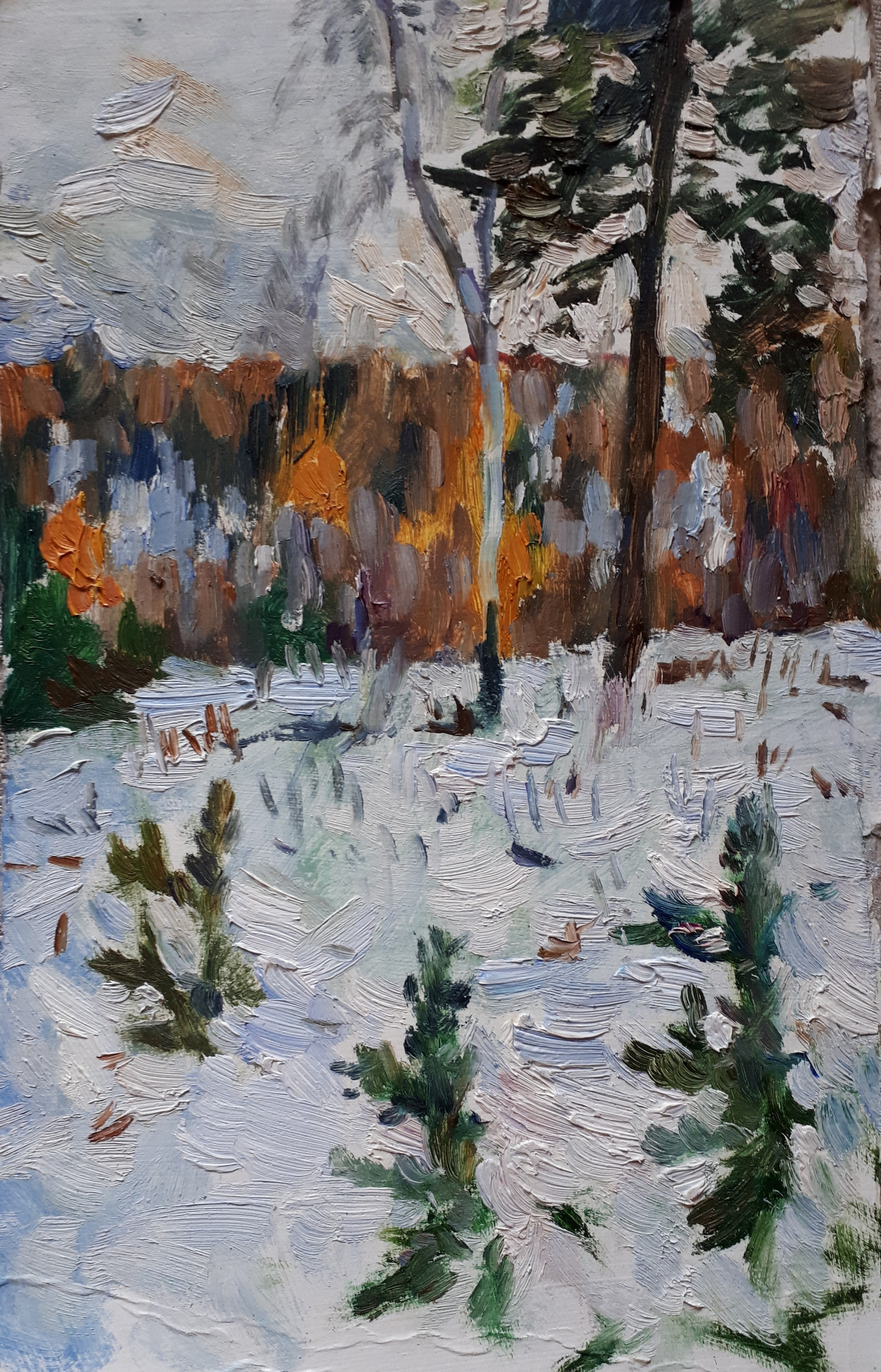 Сибирь, Байкал. Художник и гид по Камчатке Евгений Чайкин